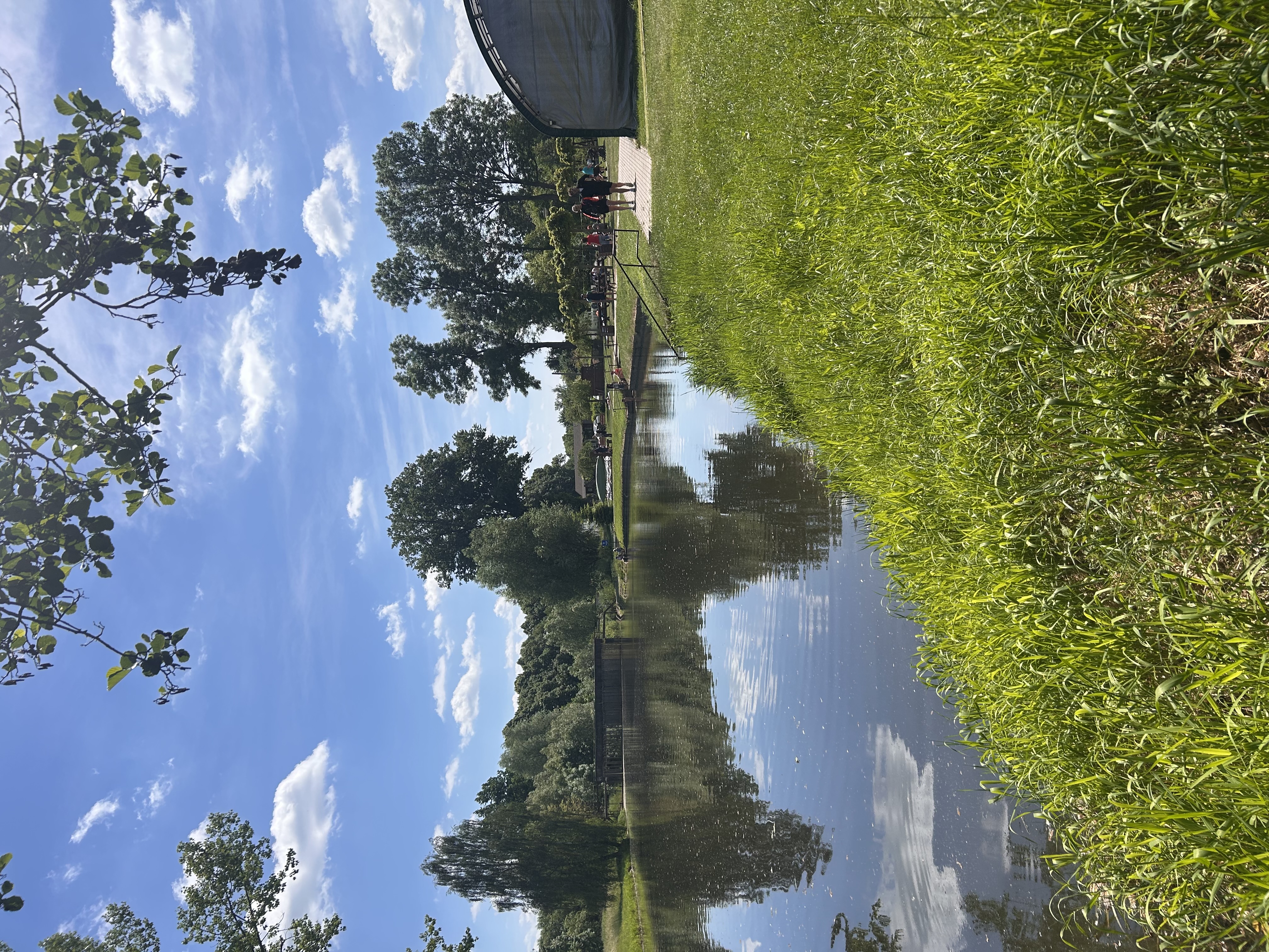 Koupaliště Na Úpě foto 2