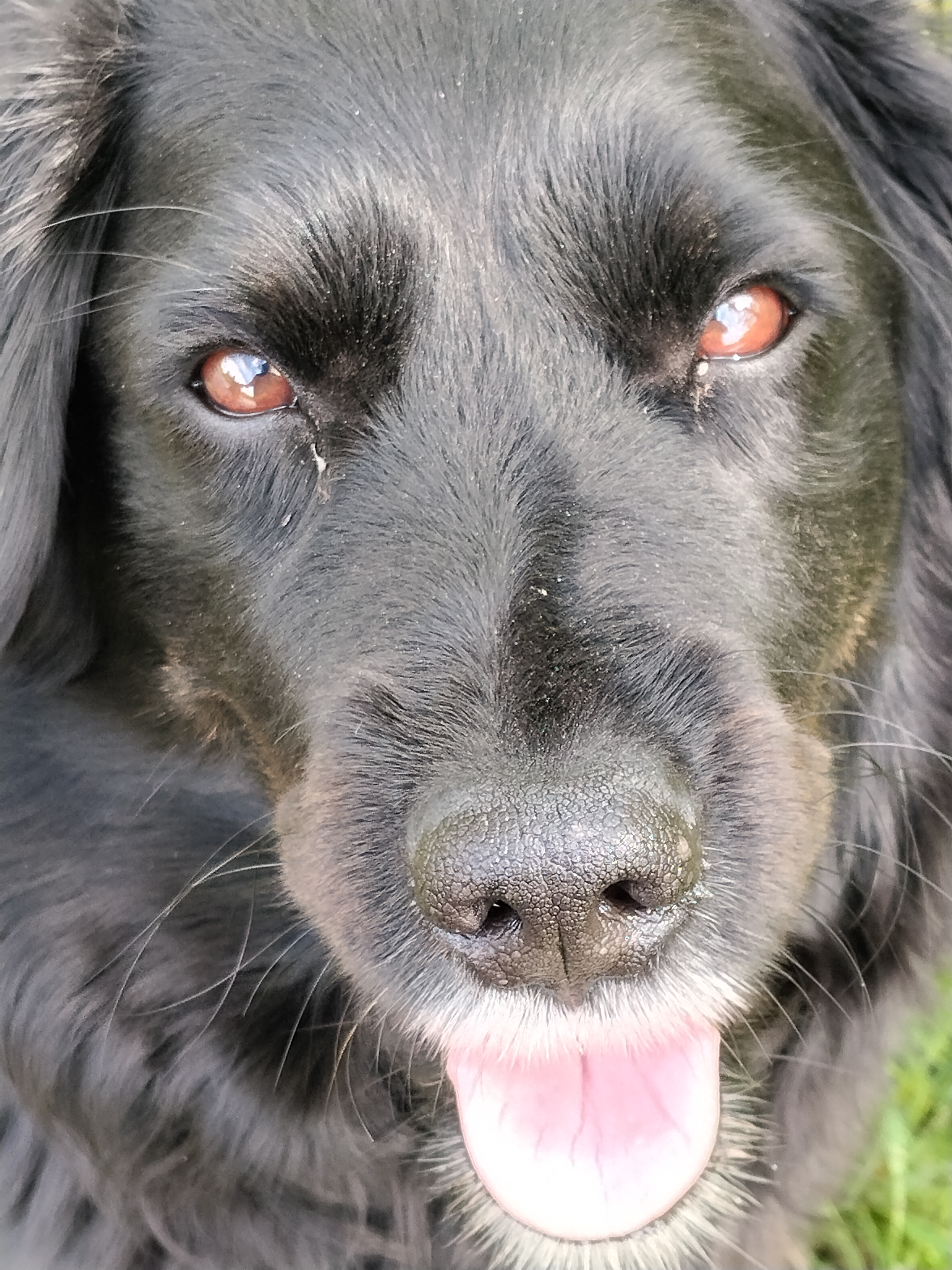 Veterinární ordinace u Vysoké brány foto 2