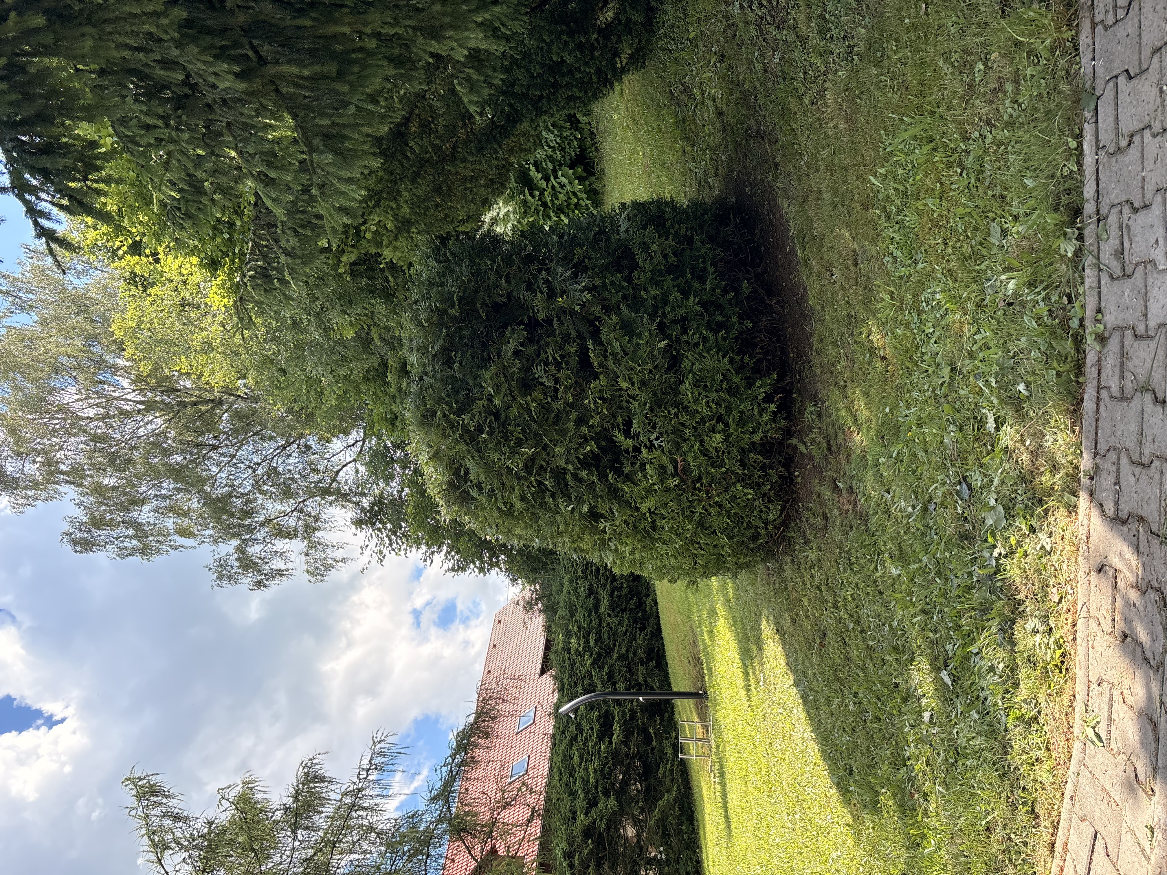 SeknuTo.cz foto 6