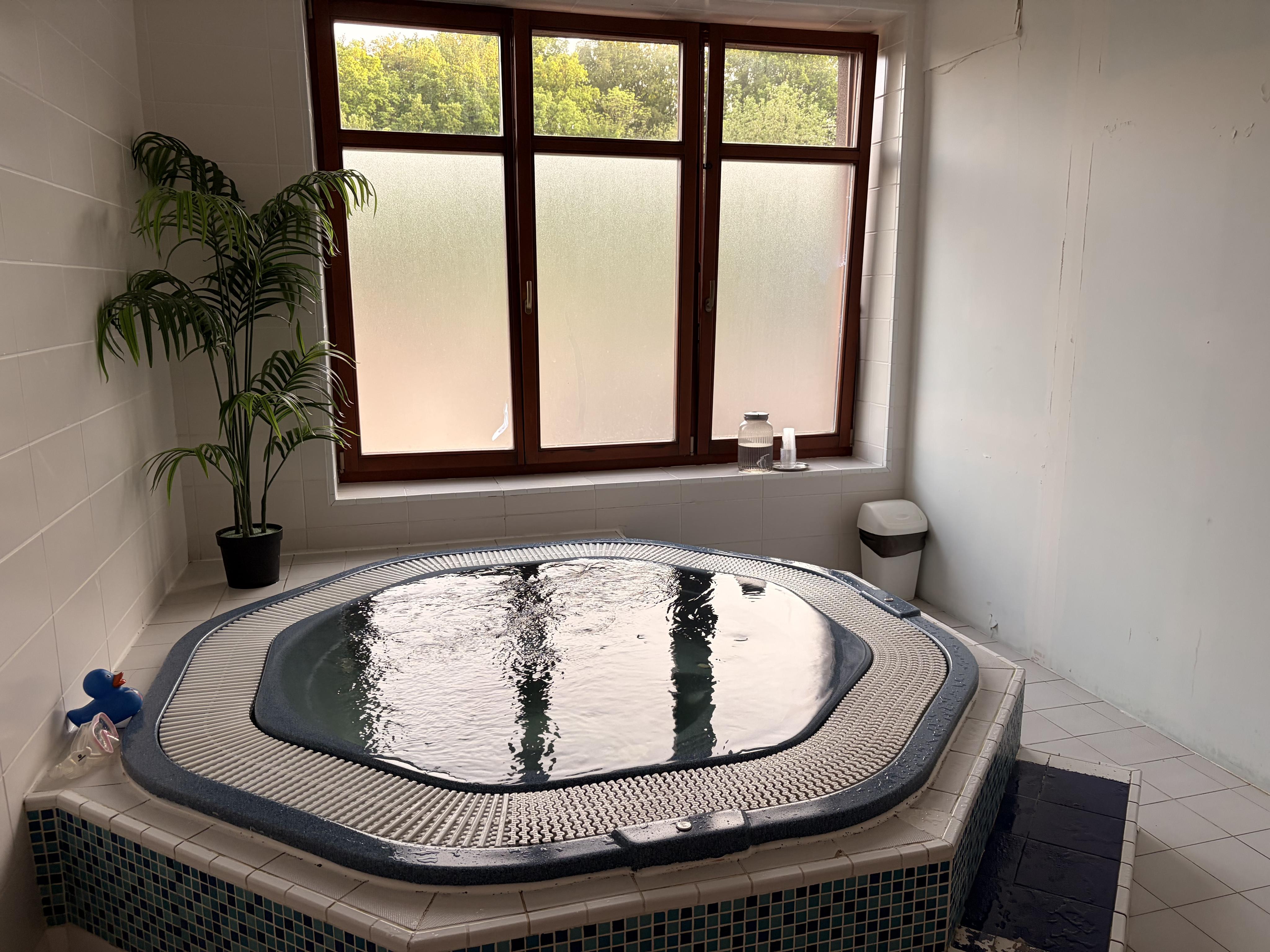 Pytloun Wellness Hotel Hasištejn * * * * foto 2