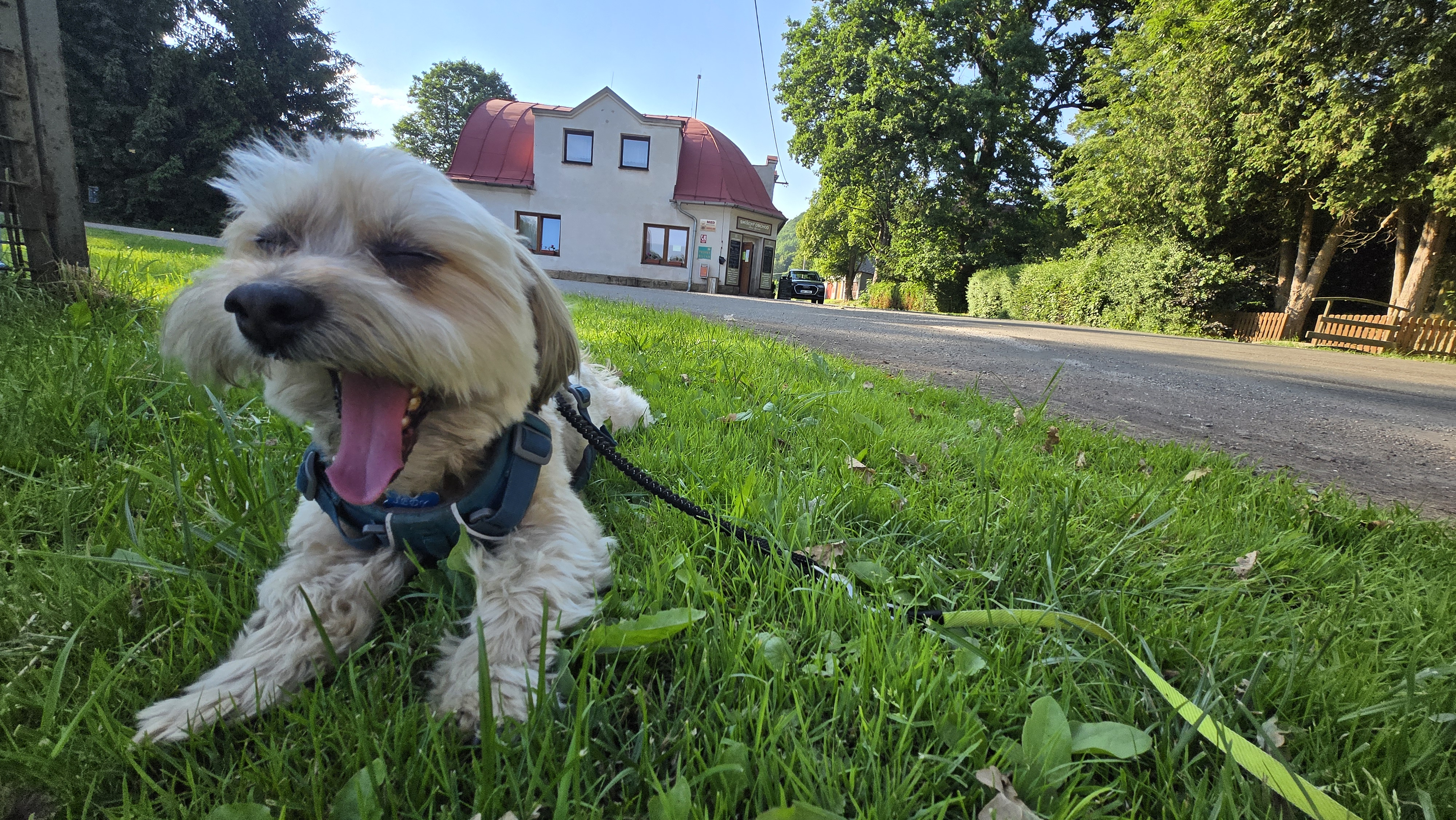 Smíšený obchod Dana Tyšerová foto 5