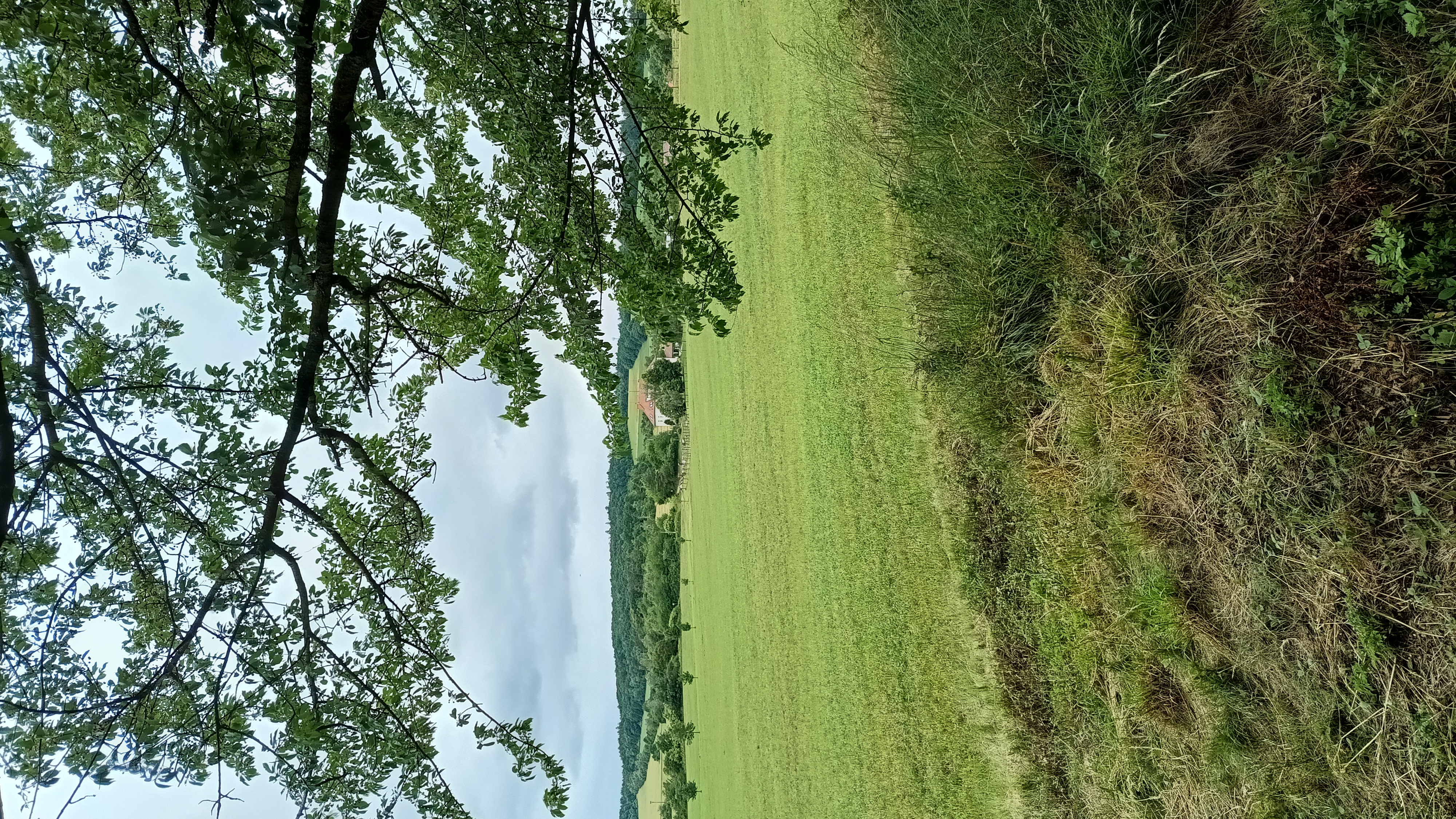 Kemp U Švestků foto 5