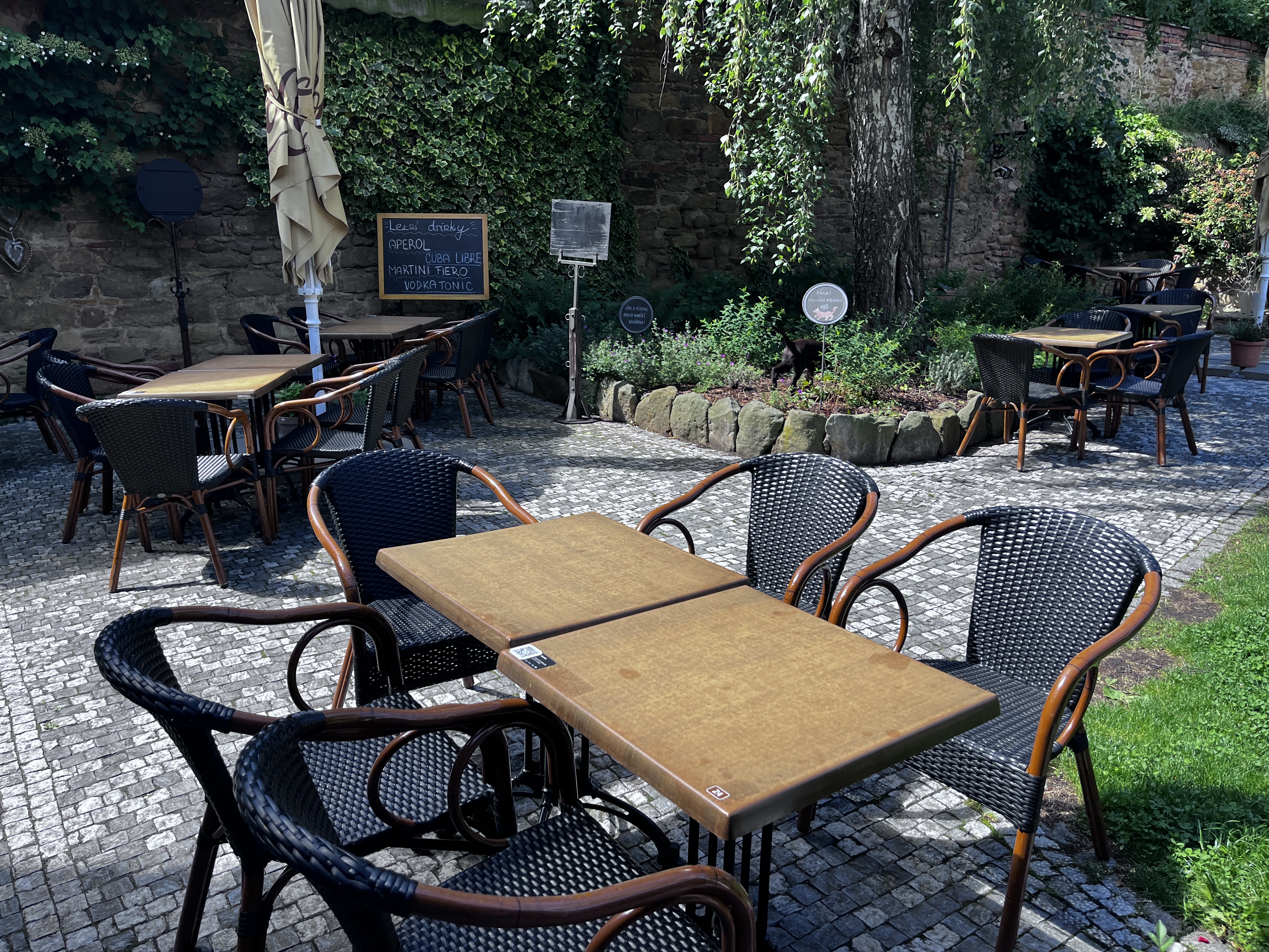 Cafe Modré dveře foto 6