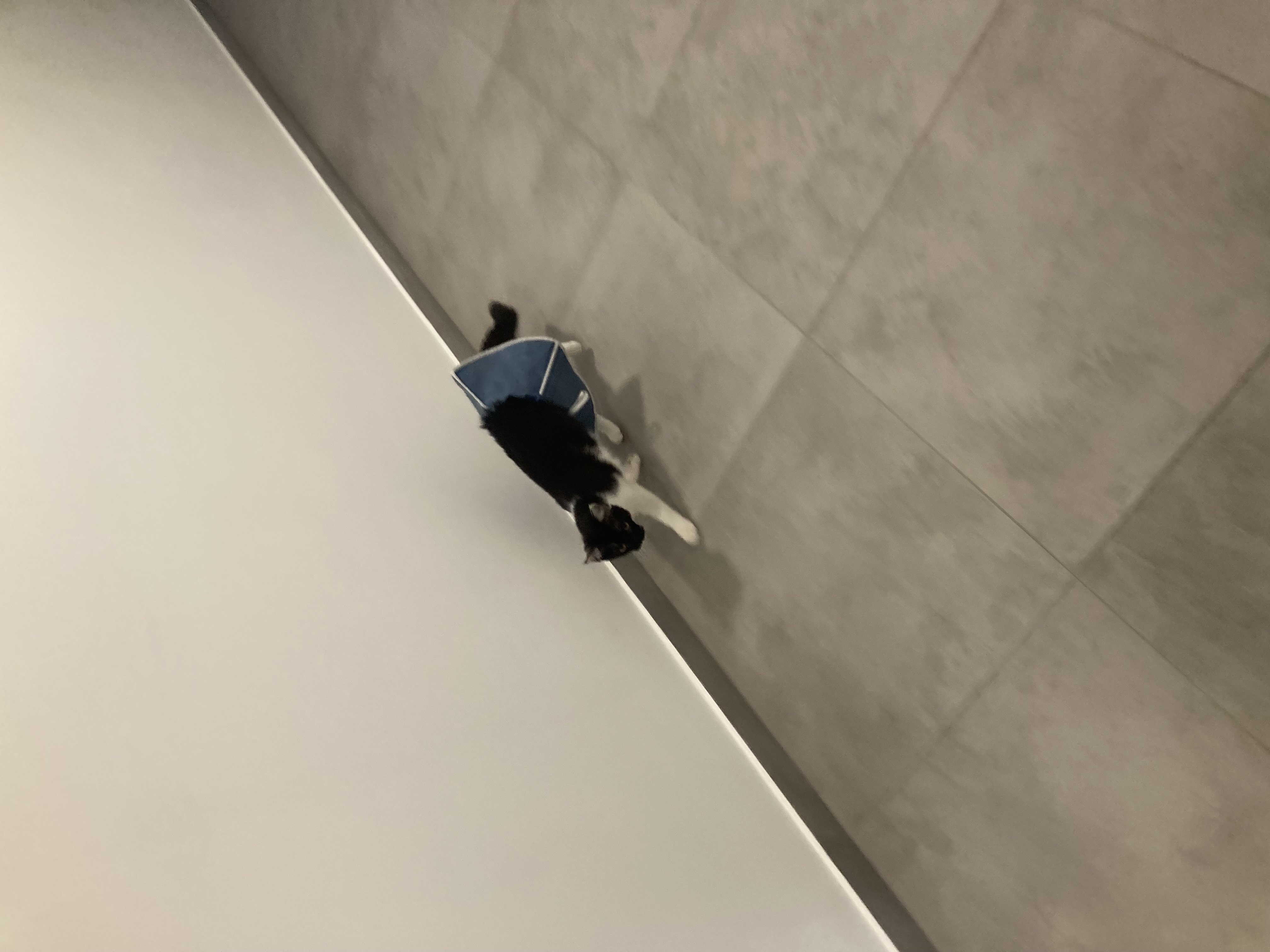 Veterinární klinika SaMvet s.r.o foto 1