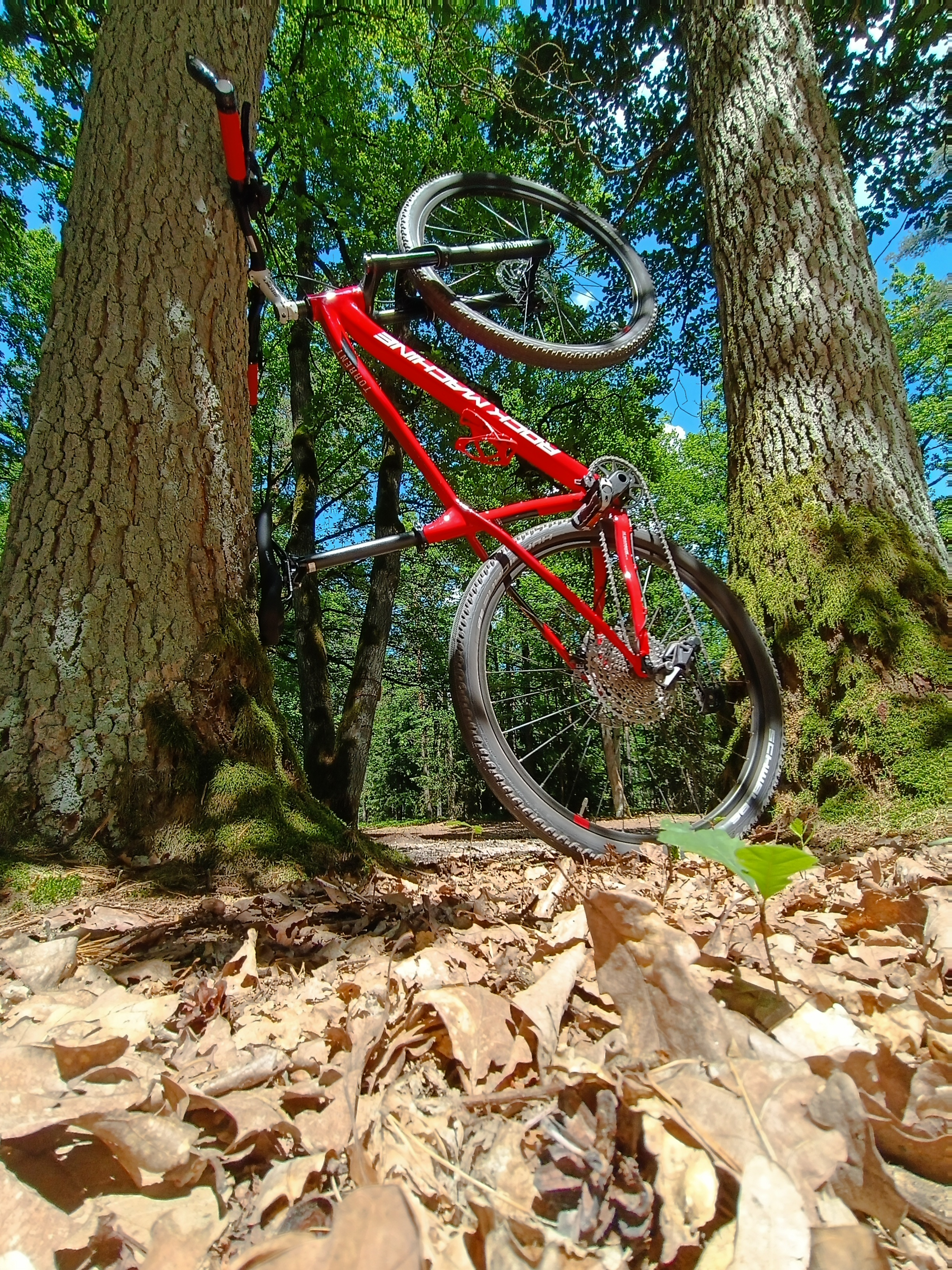 BIKEMAX Hradec Králové foto 3