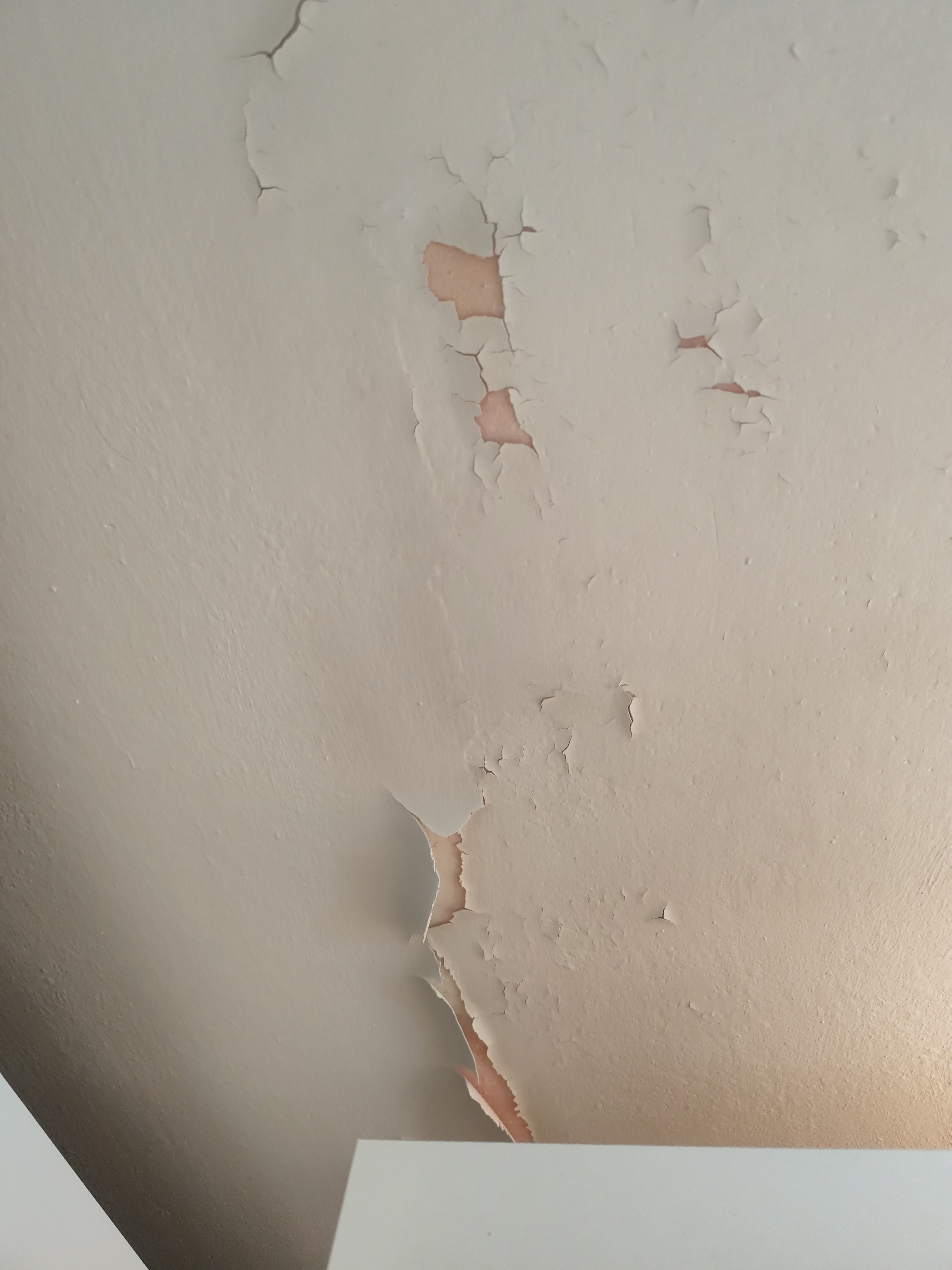 Malířské práce Martin Zálešák foto 2