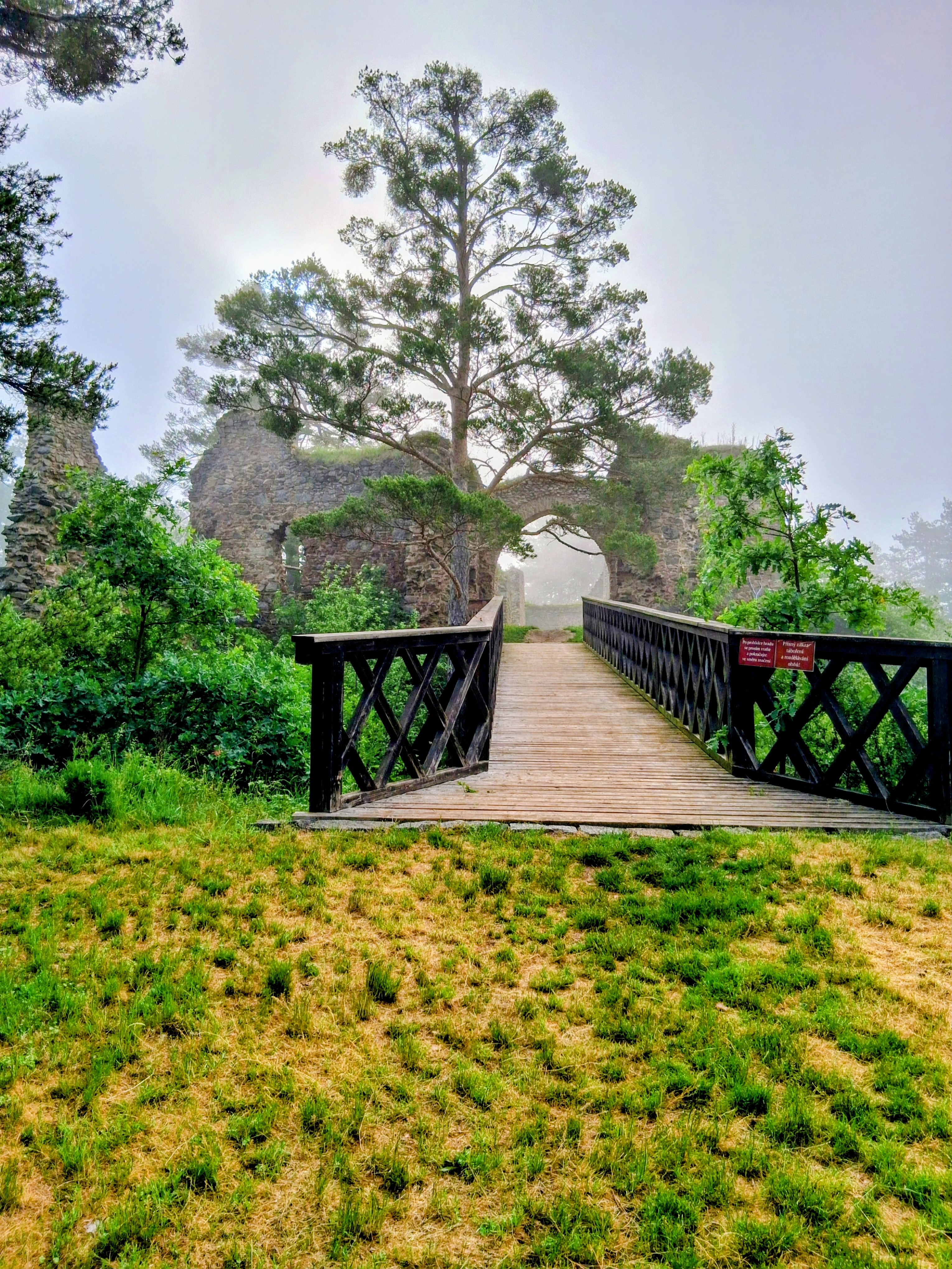 Zřícenina hradu Kamýk foto 6