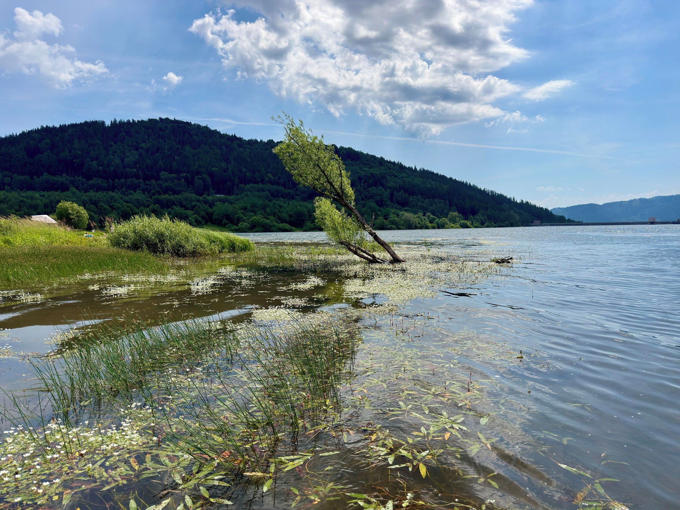 Jezioro Bukówka