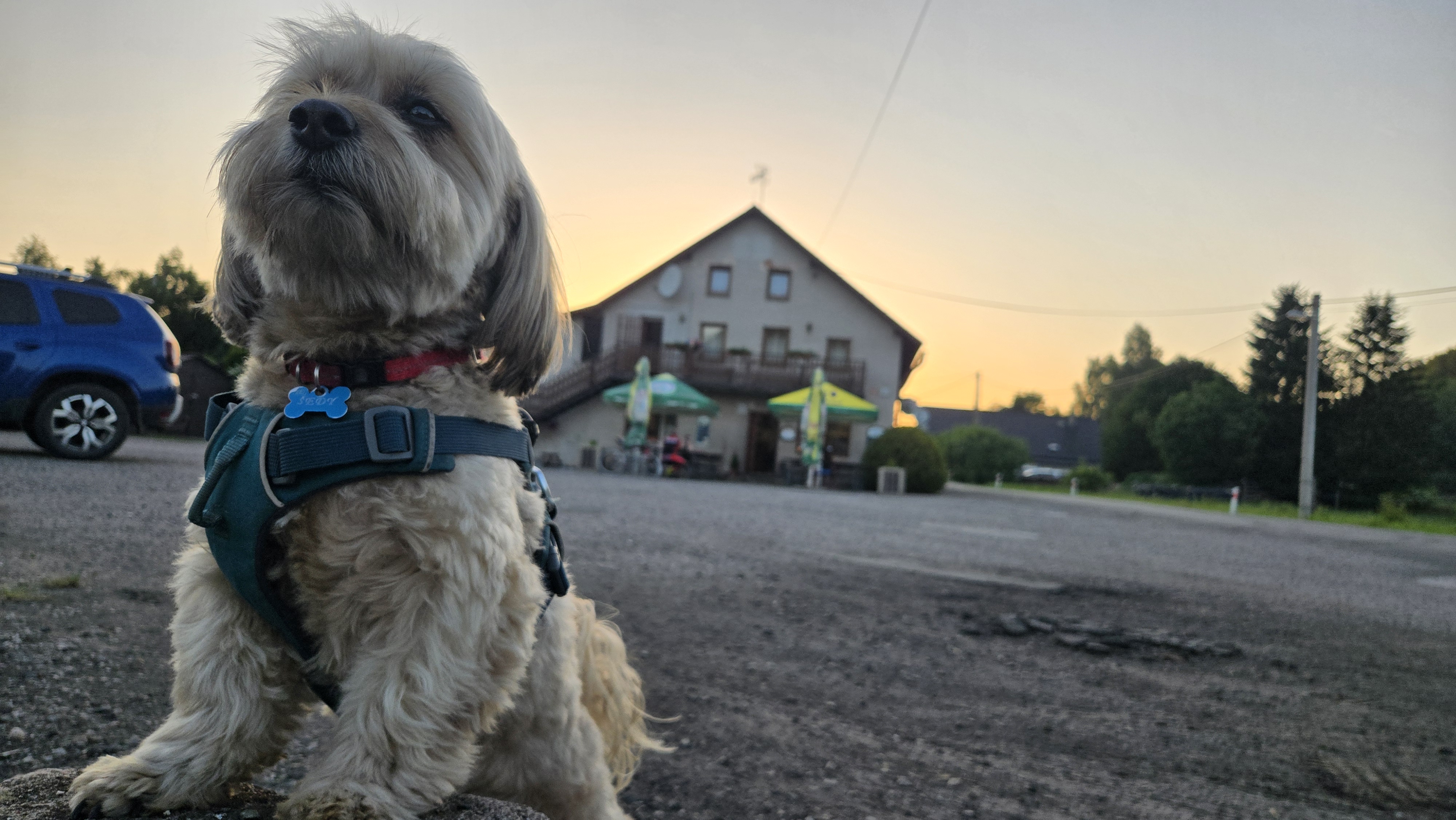 Hostinec U Tyšerů foto 6