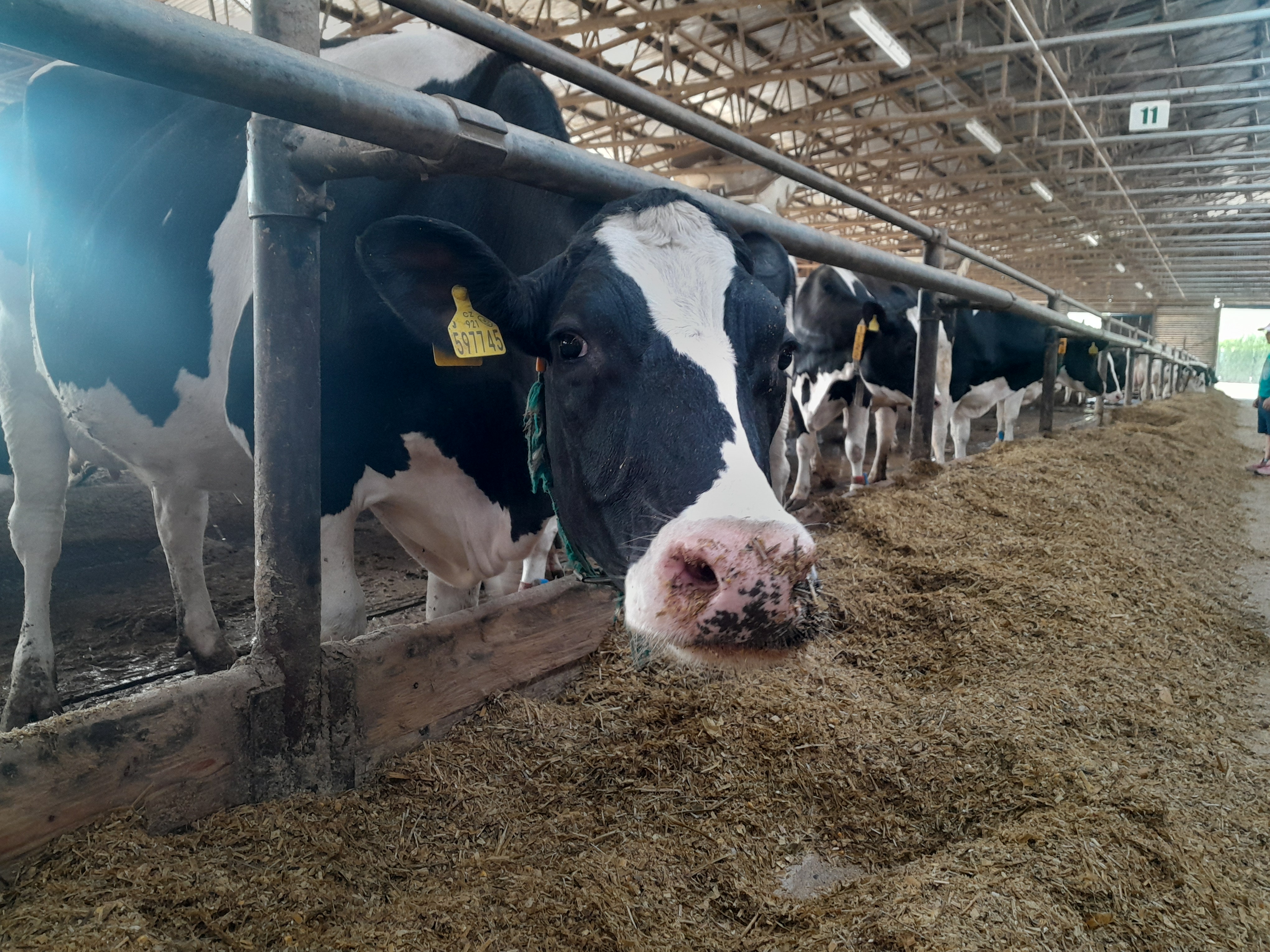AGRO Jesenice u Prahy, a.s. foto 2