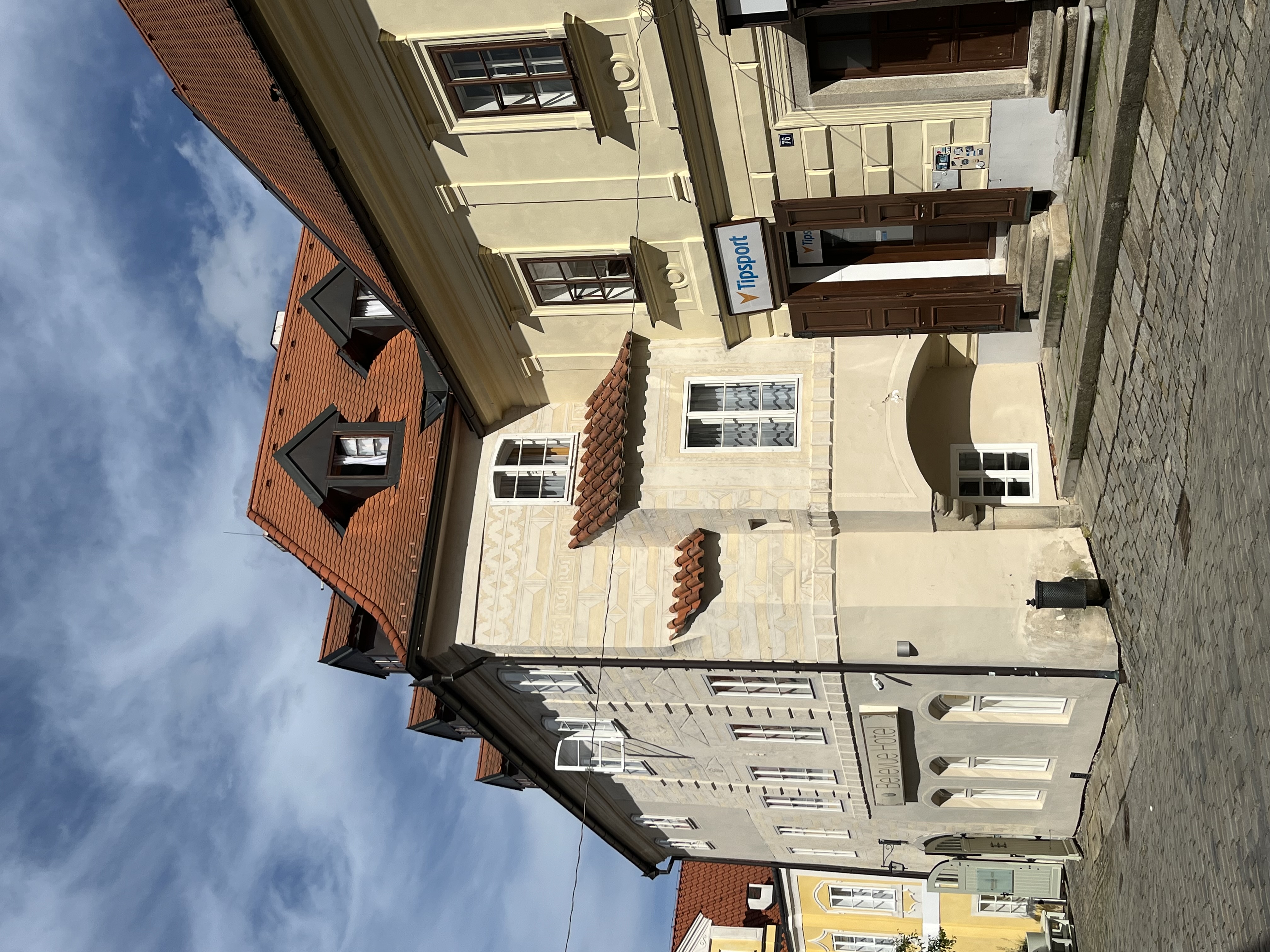 Hotel Bellevue foto 6