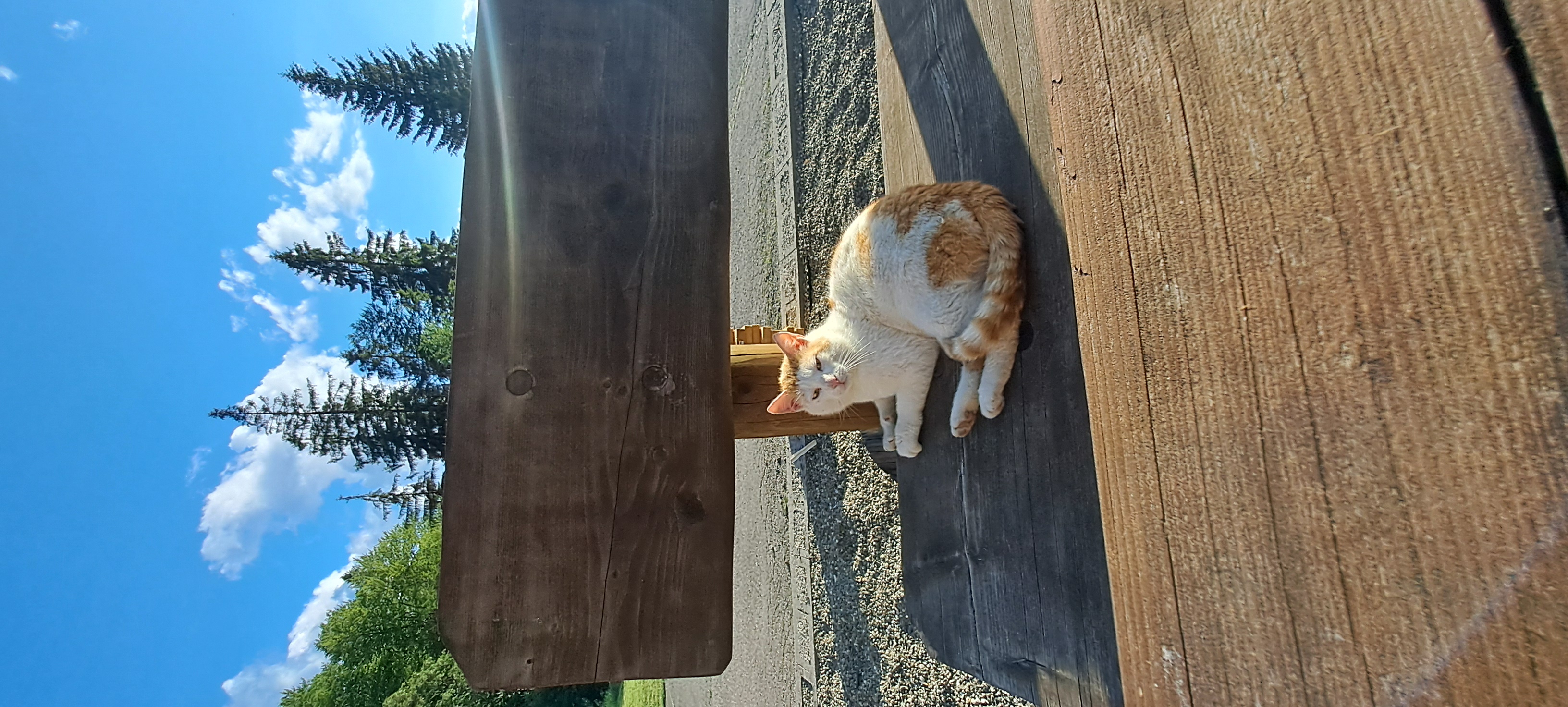 Horská chata Sulov foto 4