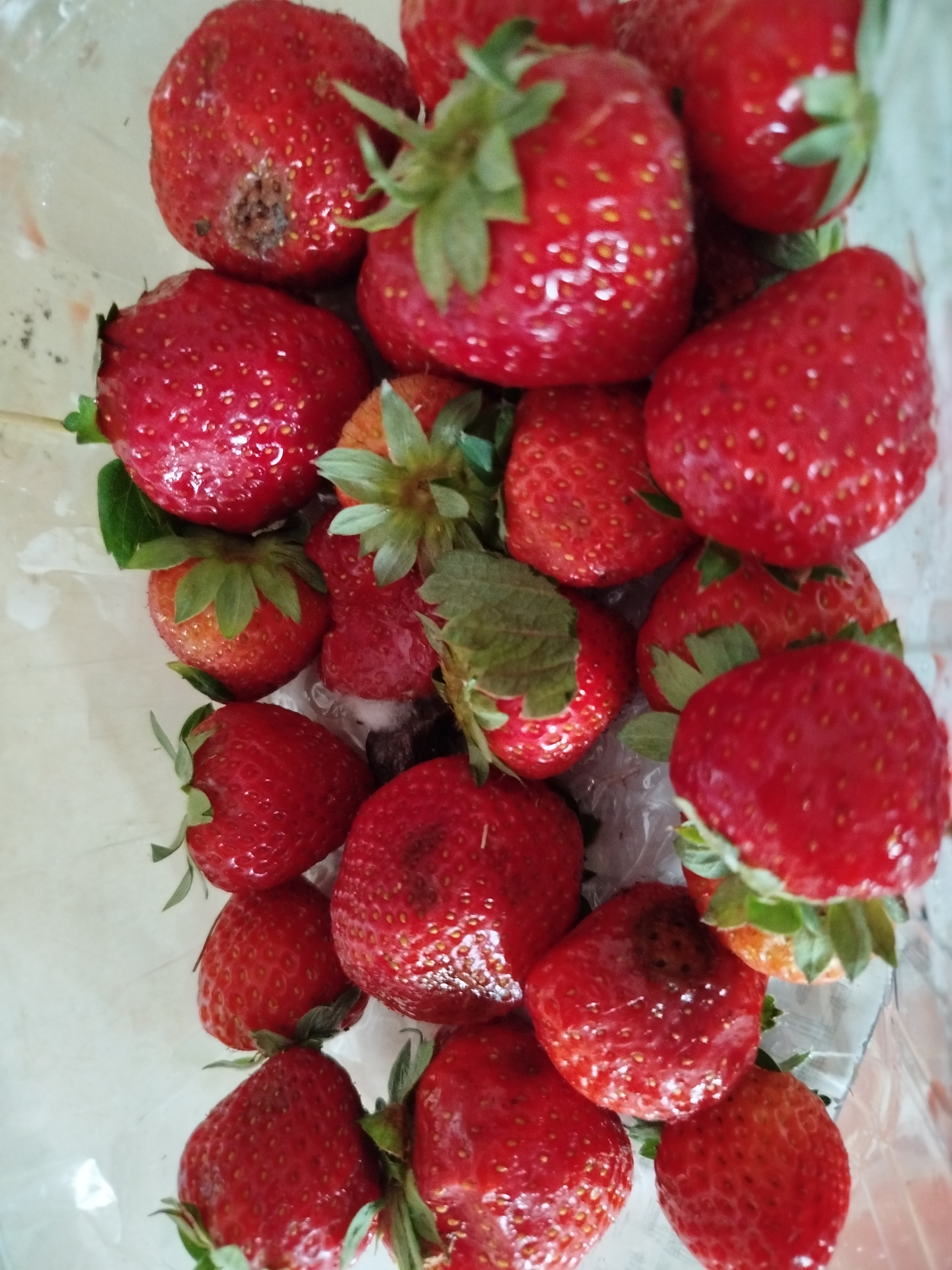 Kaufland foto 2