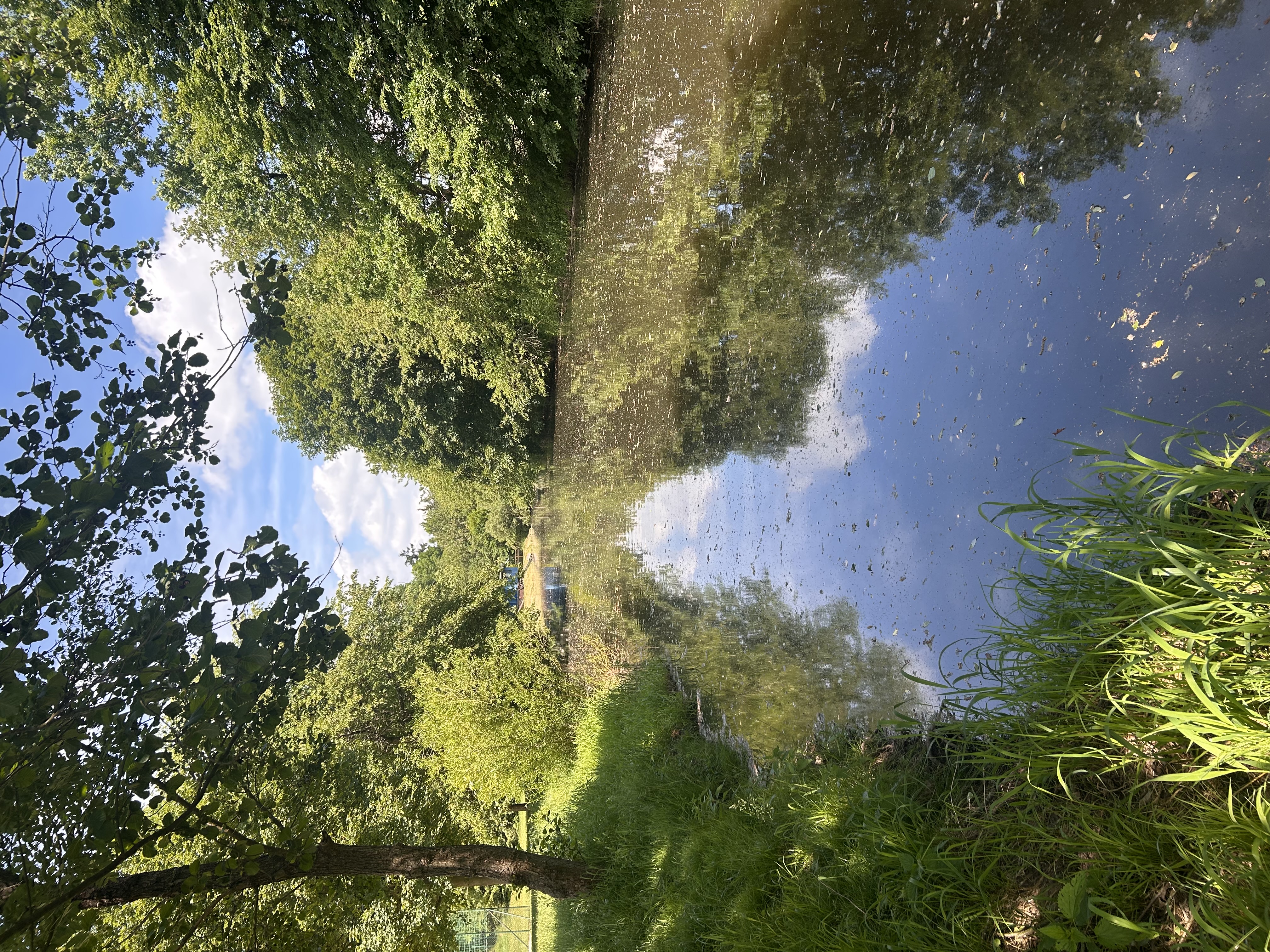 Koupaliště Na Úpě foto 5