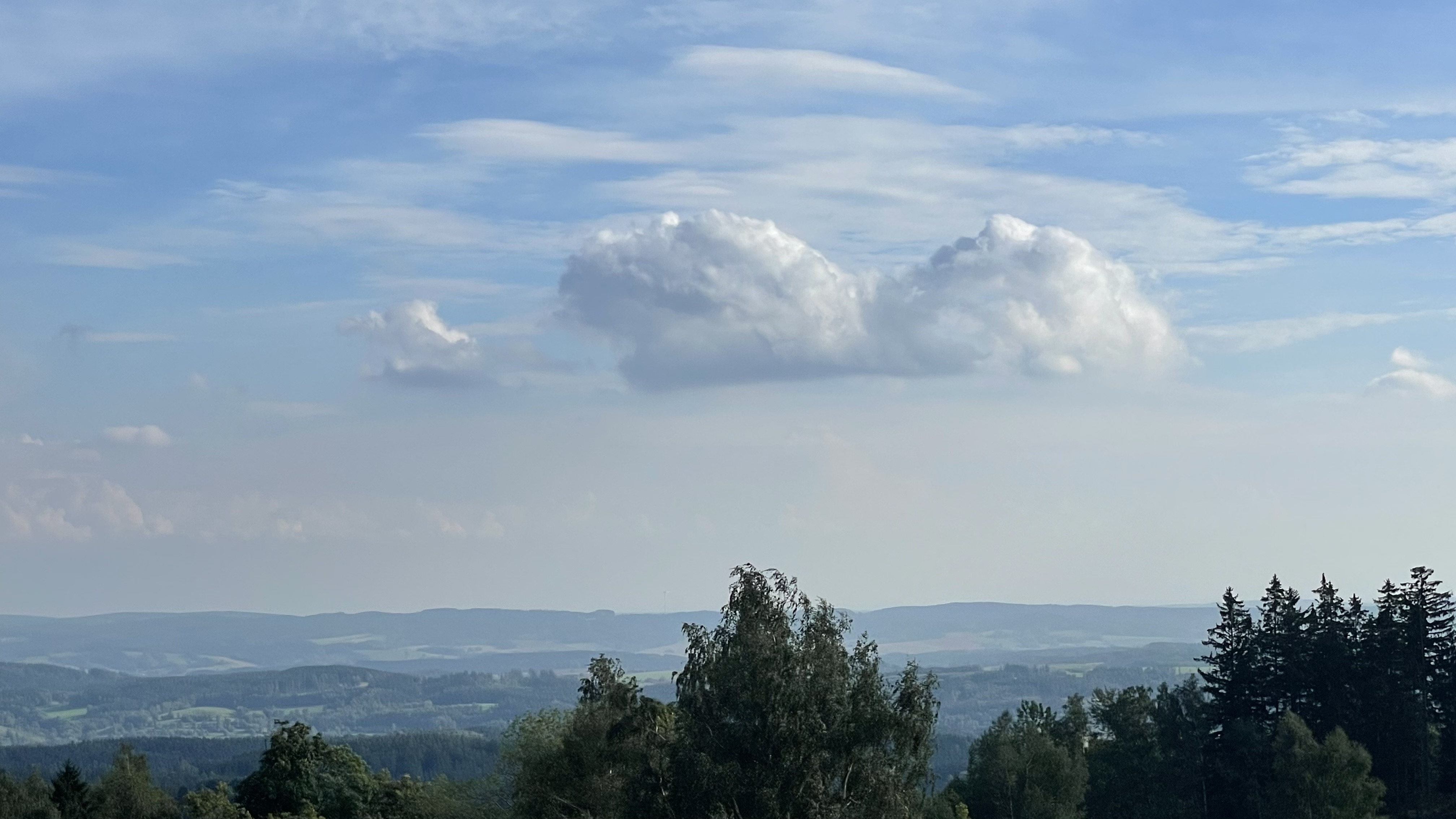Roubenka Veverka foto 1
