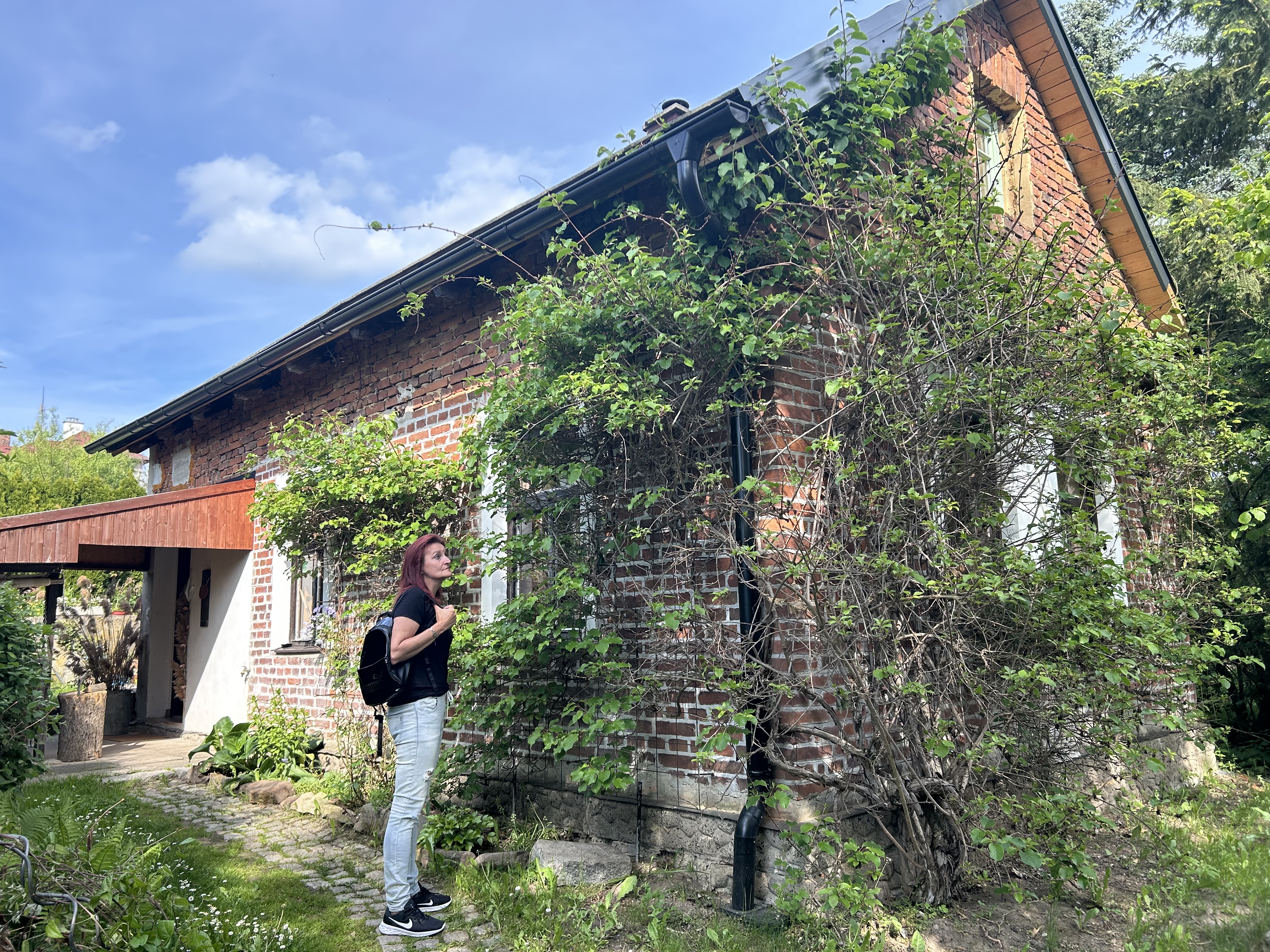 Cihloffka foto 3
