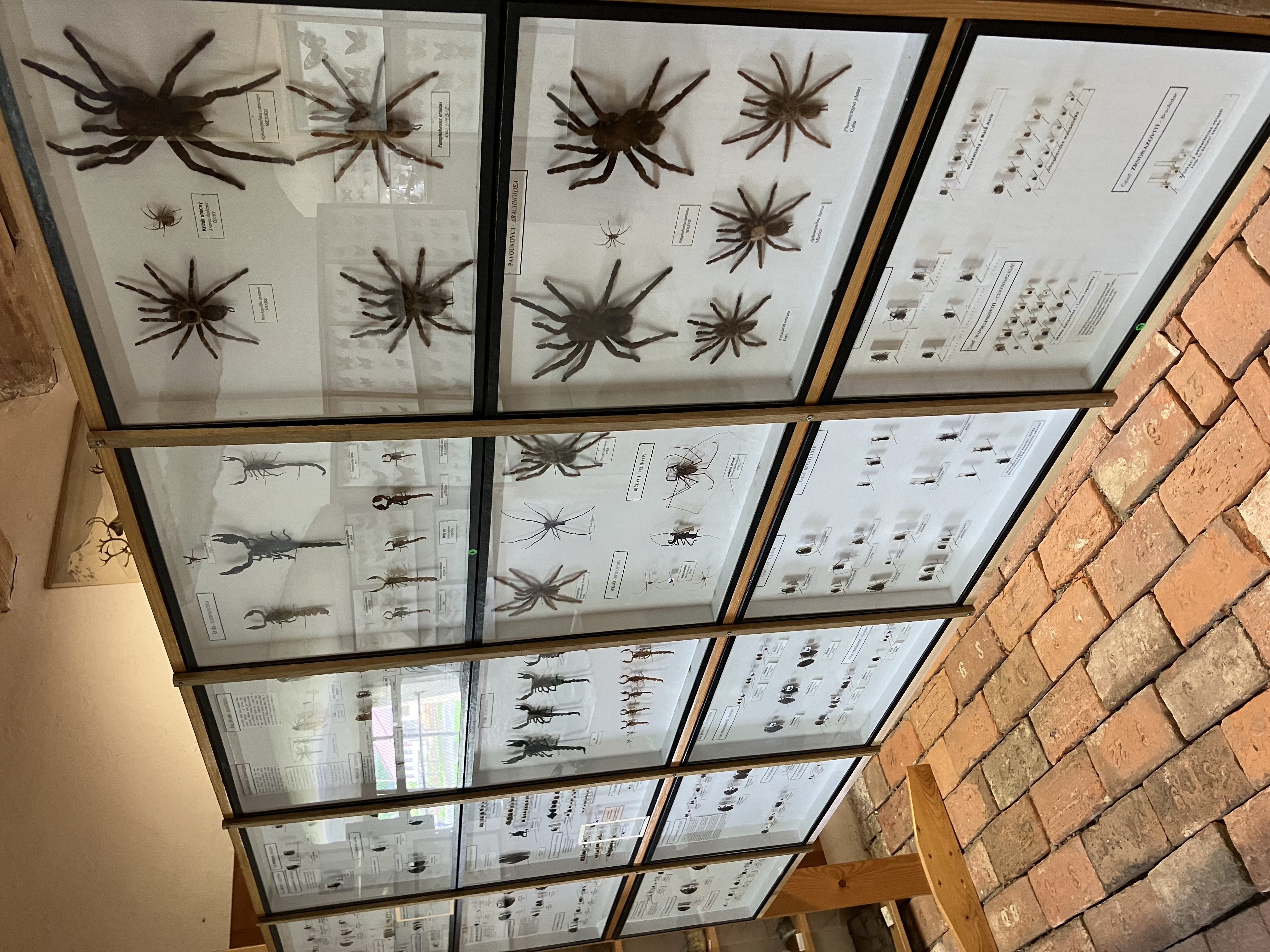 Muzeum přírodovědy a venkova foto 4