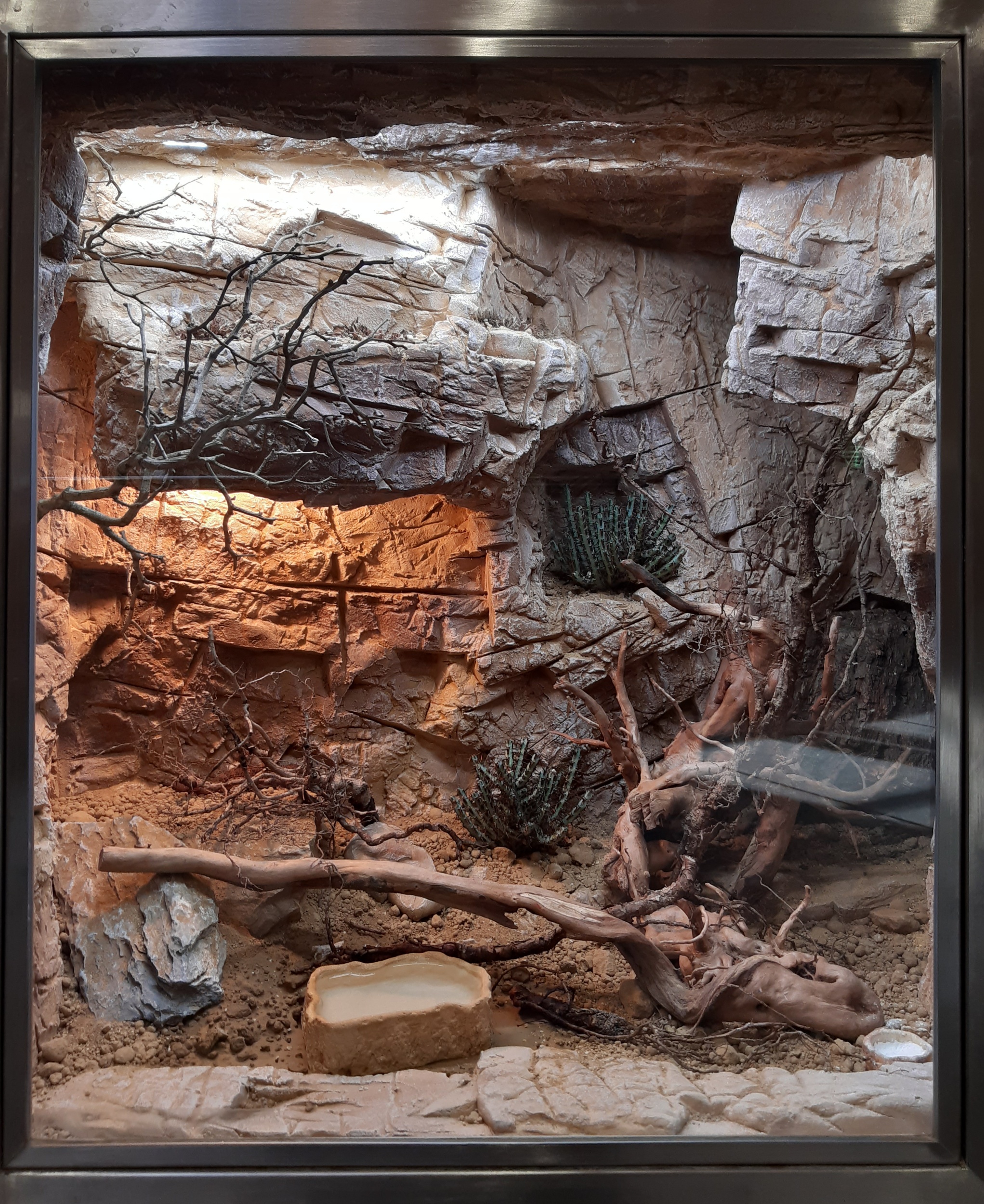 Gardreams foto 3