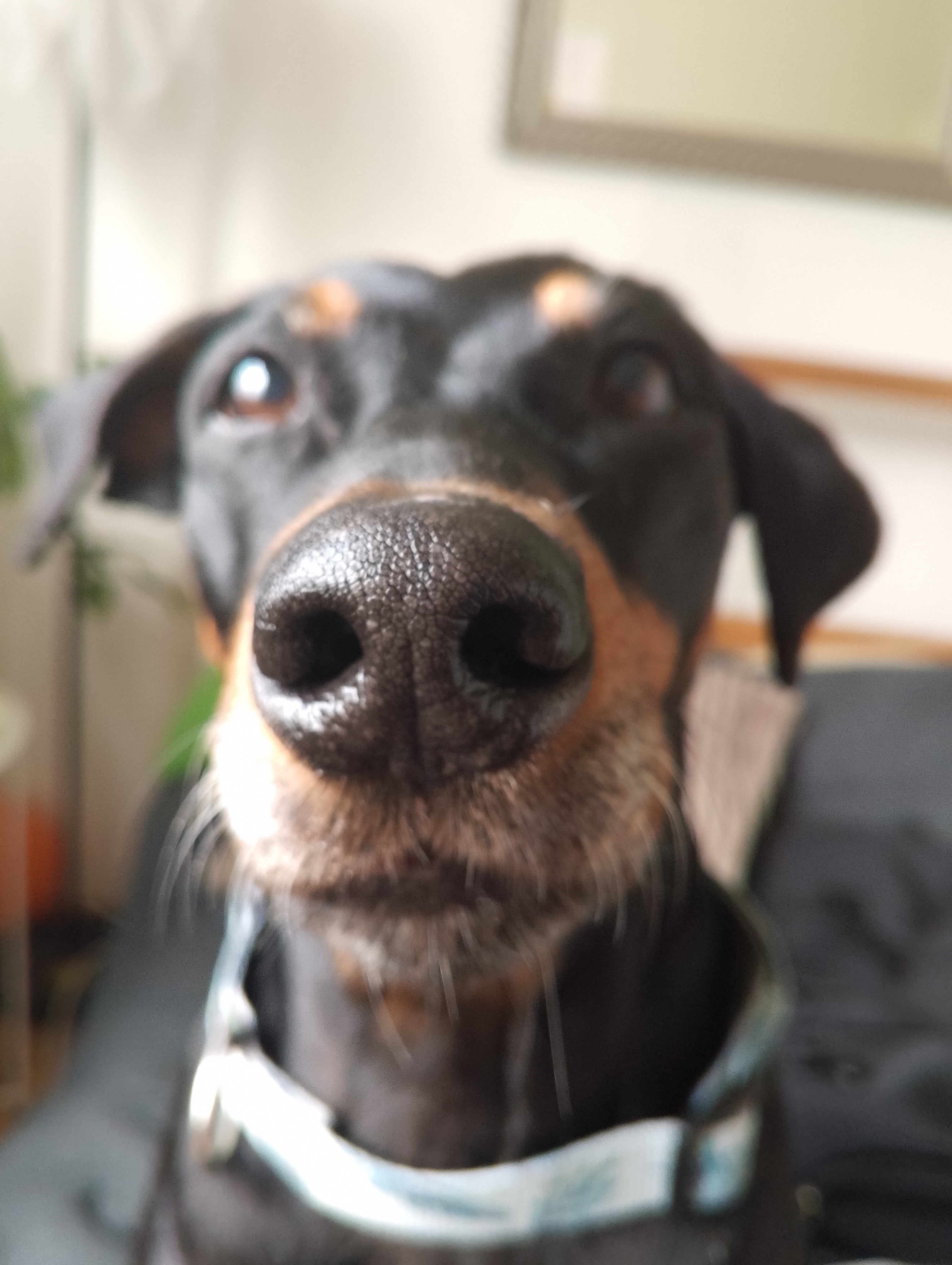MUDr. Kateřina Košťáková foto 1