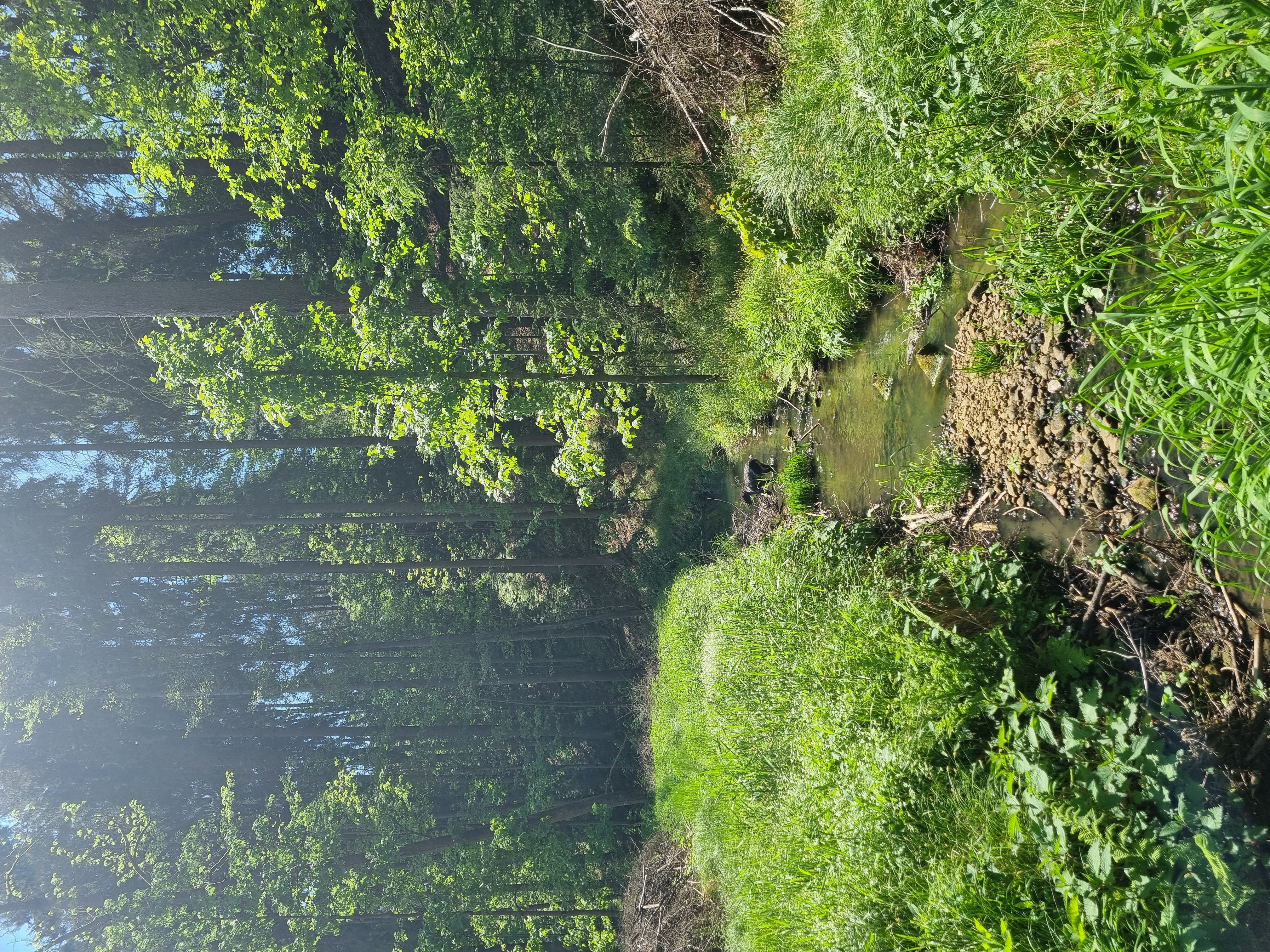 Autokemp Česká brána foto 5