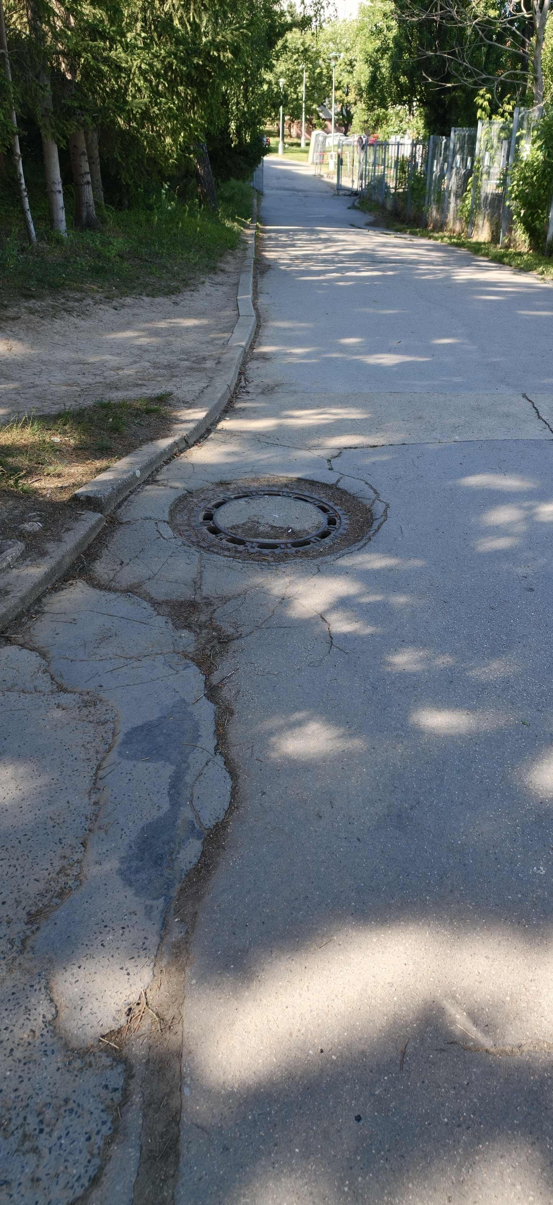 ZŠ Brno, Bosonožská foto 2