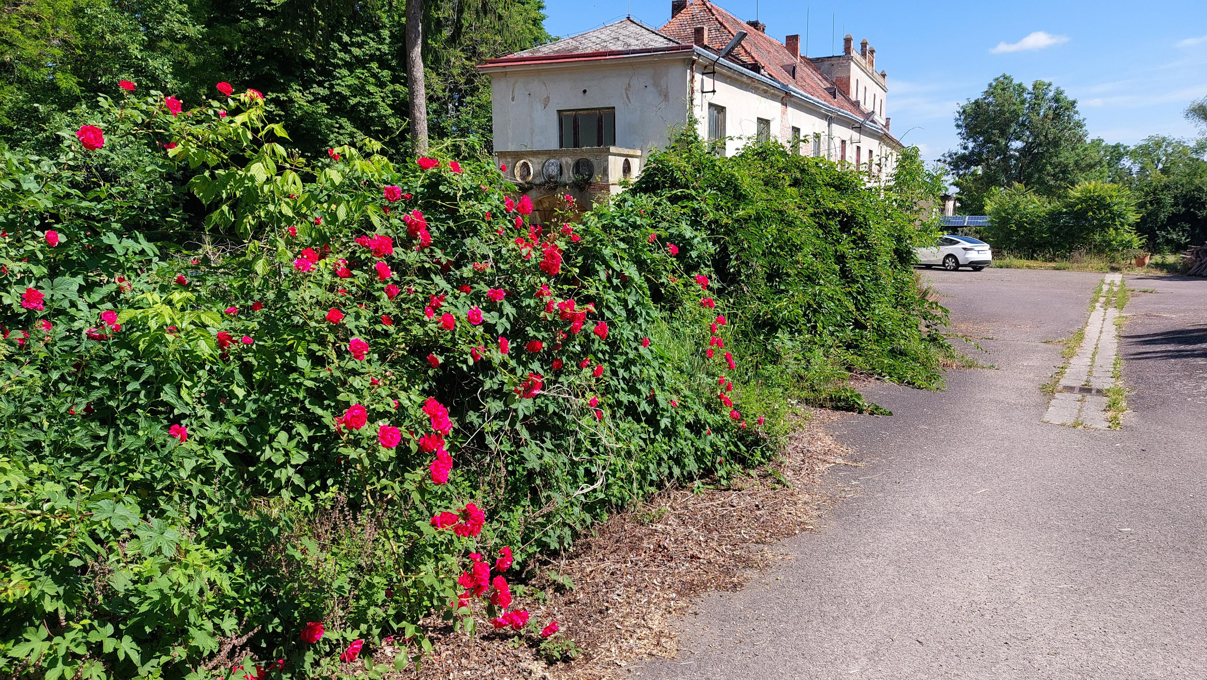 Pohoda camp Mlýnská foto 4