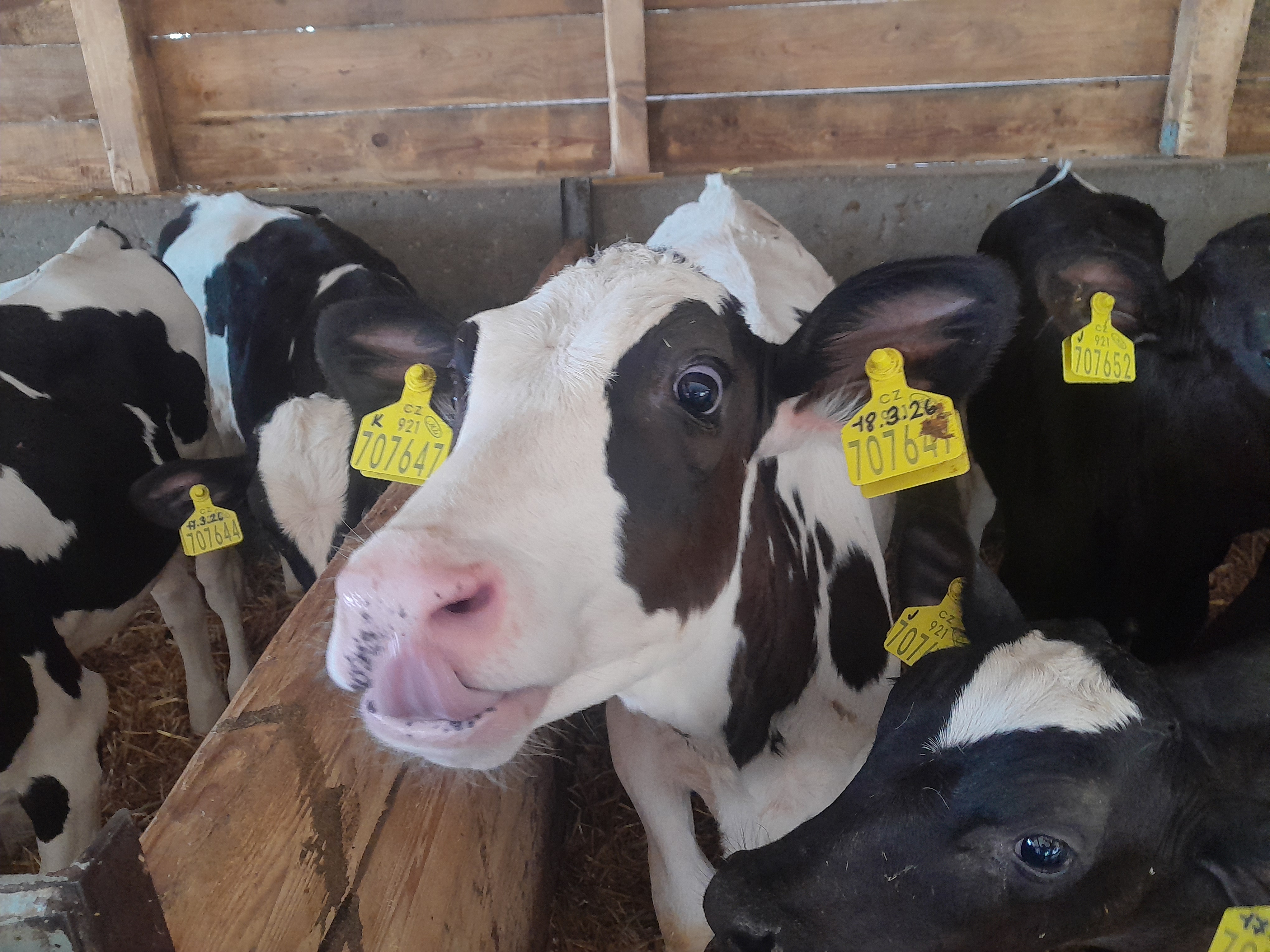 AGRO Jesenice u Prahy, a.s. foto 3