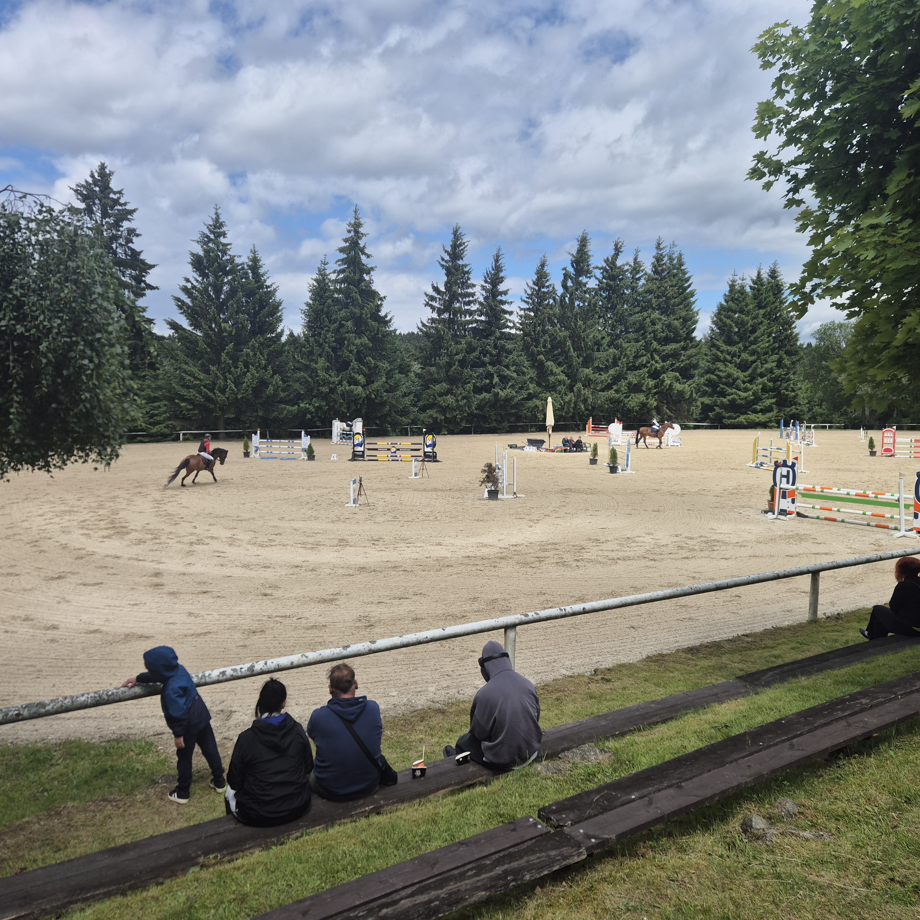 Jezdecký klub Mariánské Lázně, z. s. foto 4