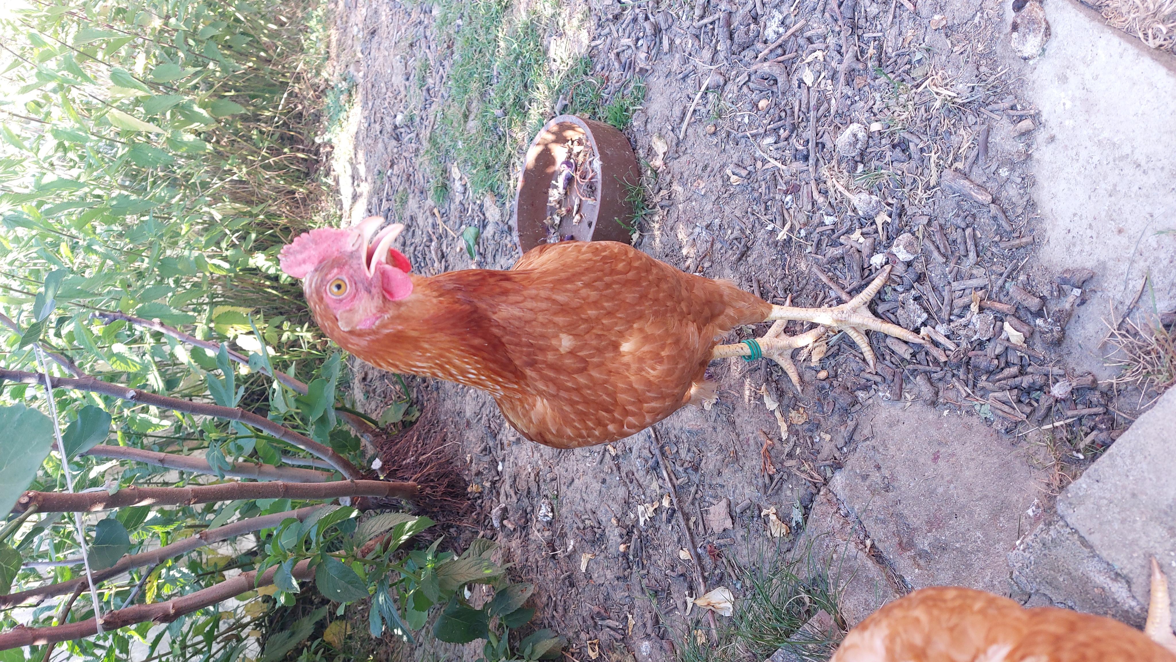 Zoodum.cz foto 4