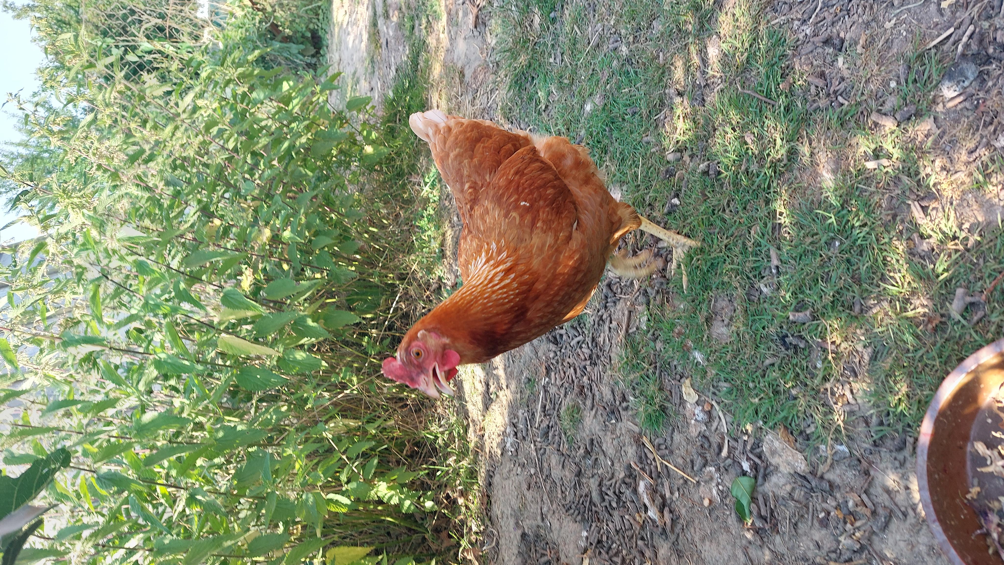 Zoodum.cz foto 3