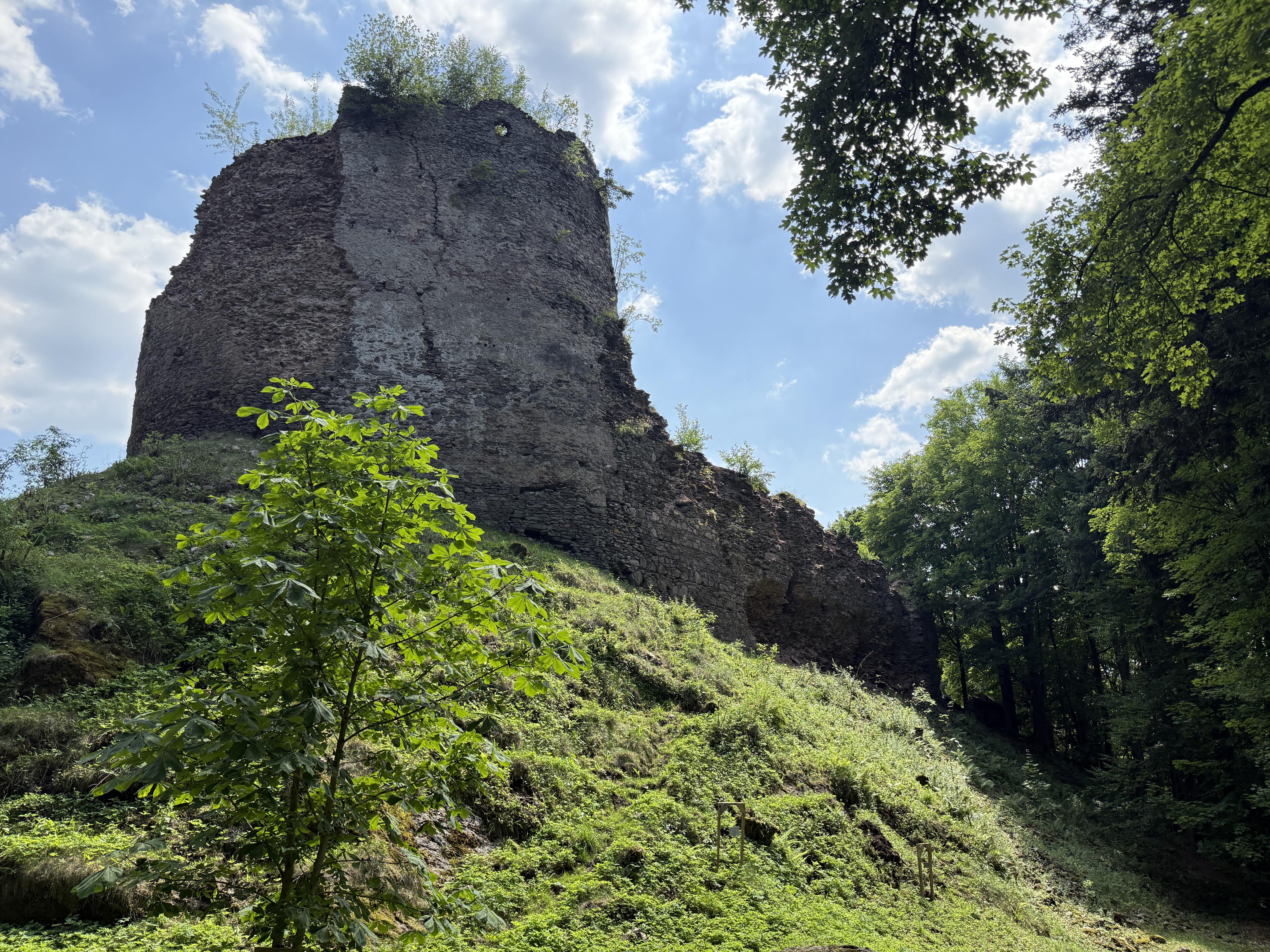 Hrad Frymburk foto 5