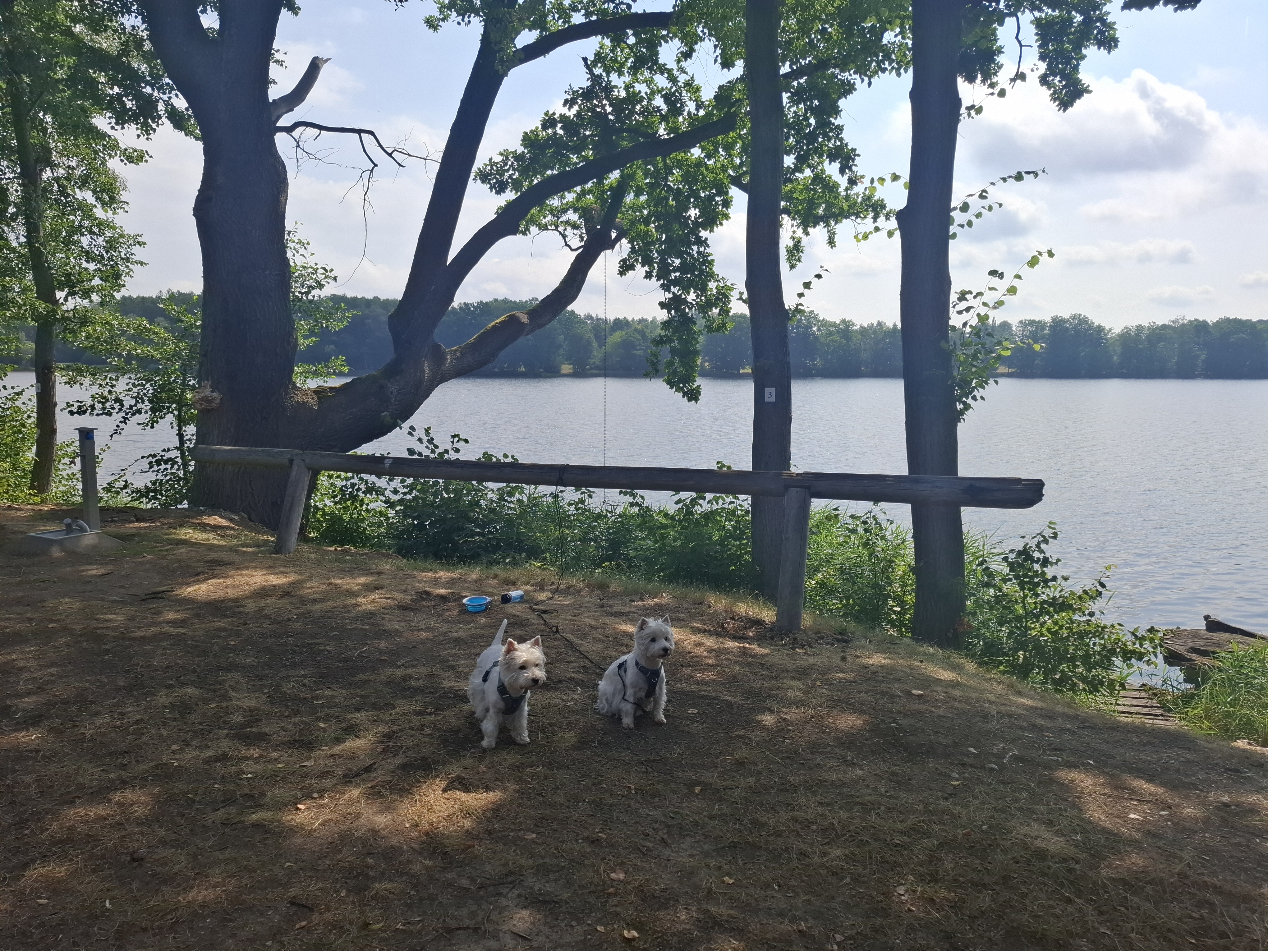 Kemp Březák foto 5