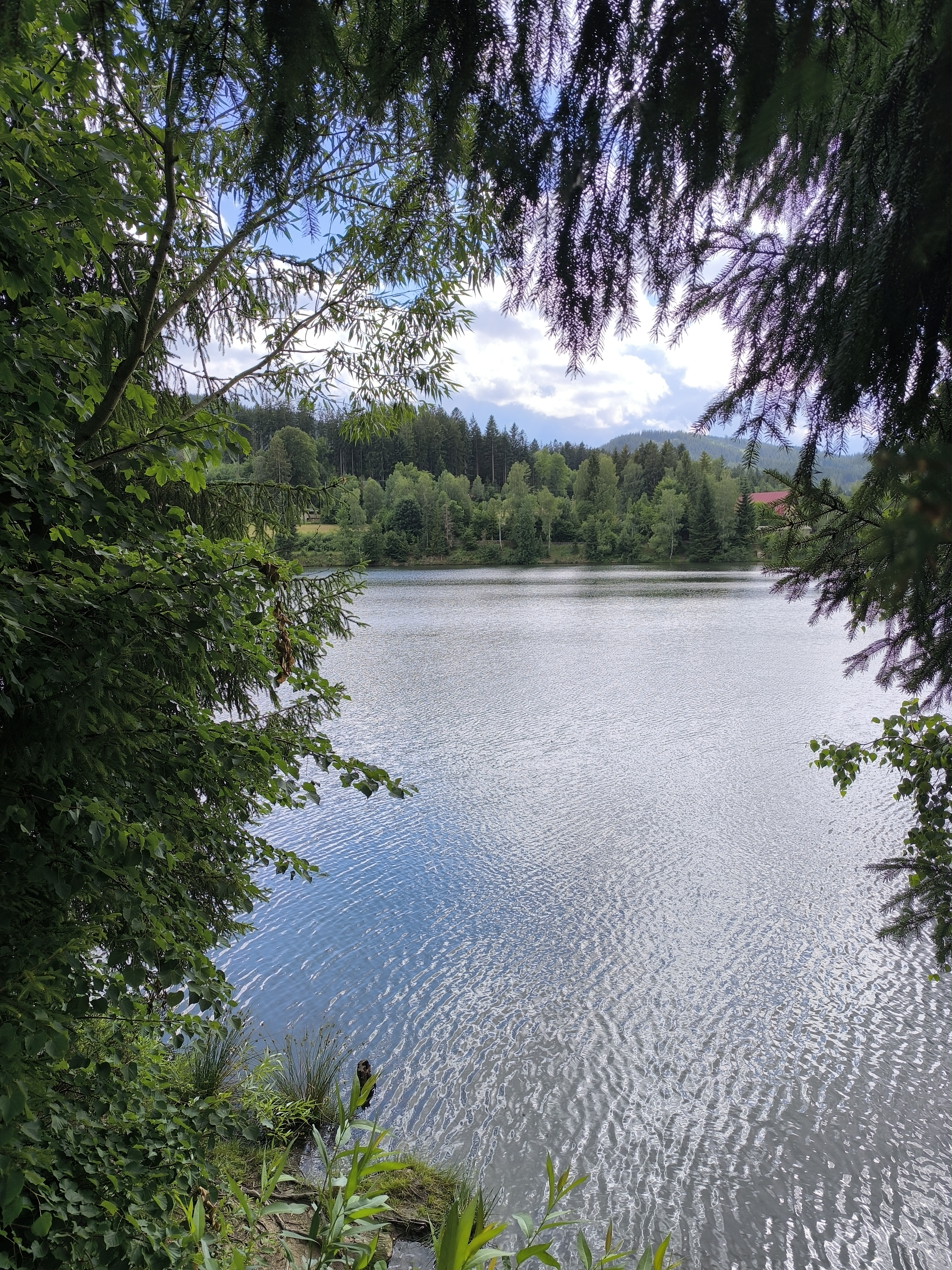 Penzion U Vody foto 3