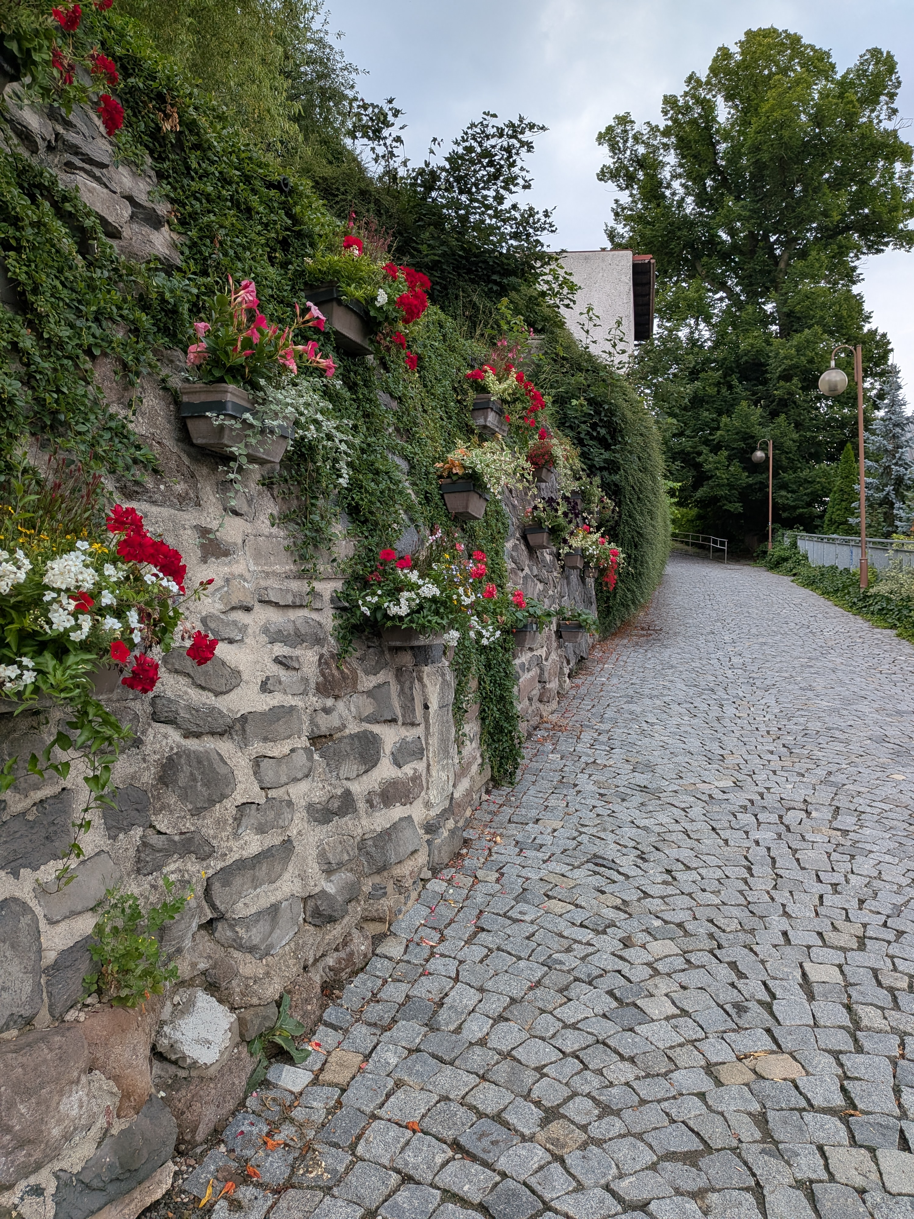 Kavárna Klid foto 2