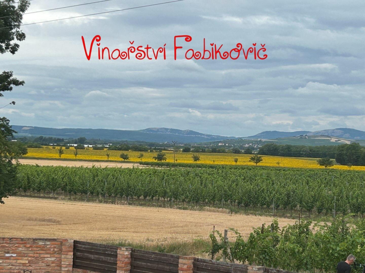 Vinařství Fabikovič foto 3