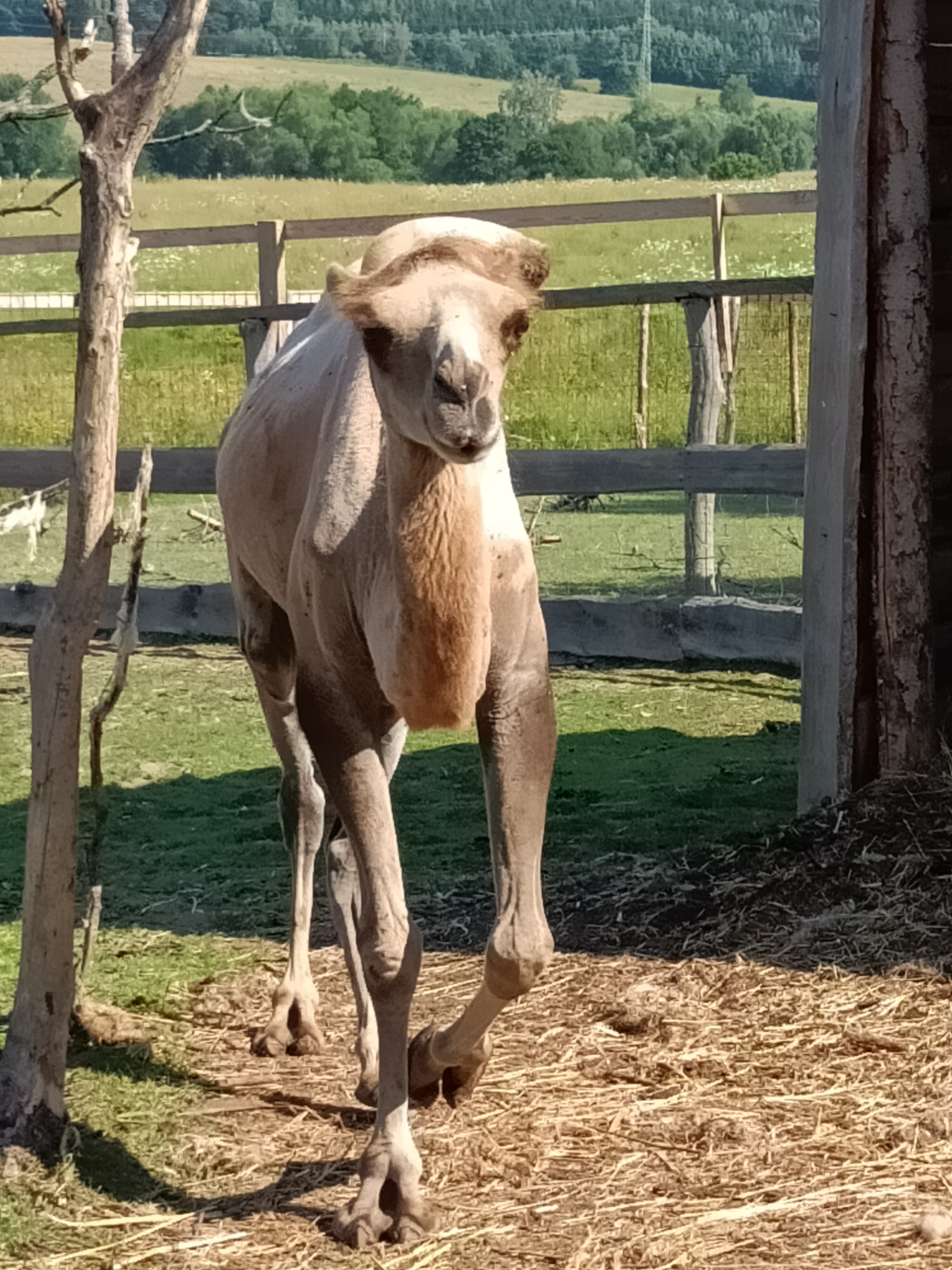 Zoopark Bohatice foto 6