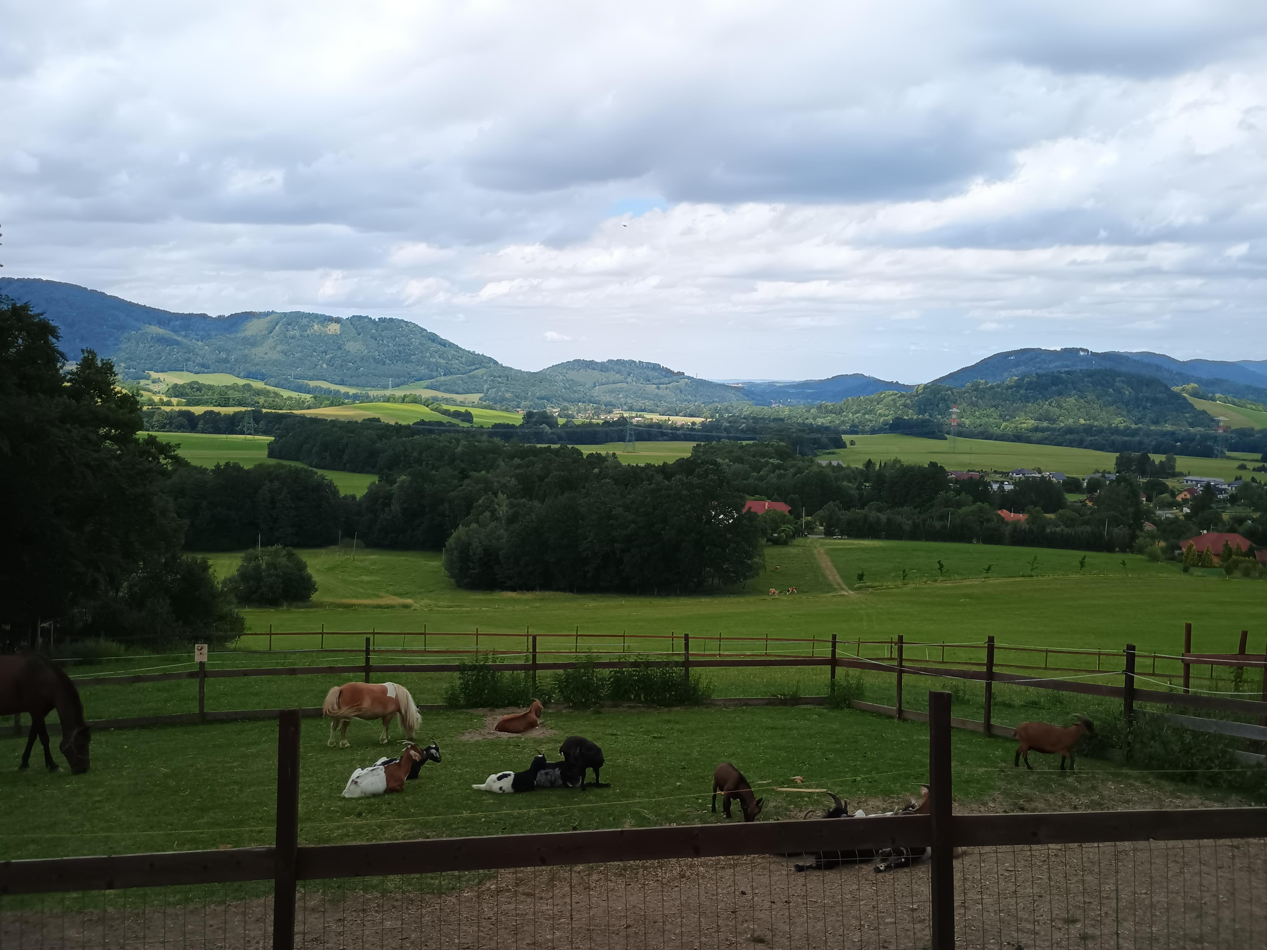 Horečky ranč dětské zoo foto 3