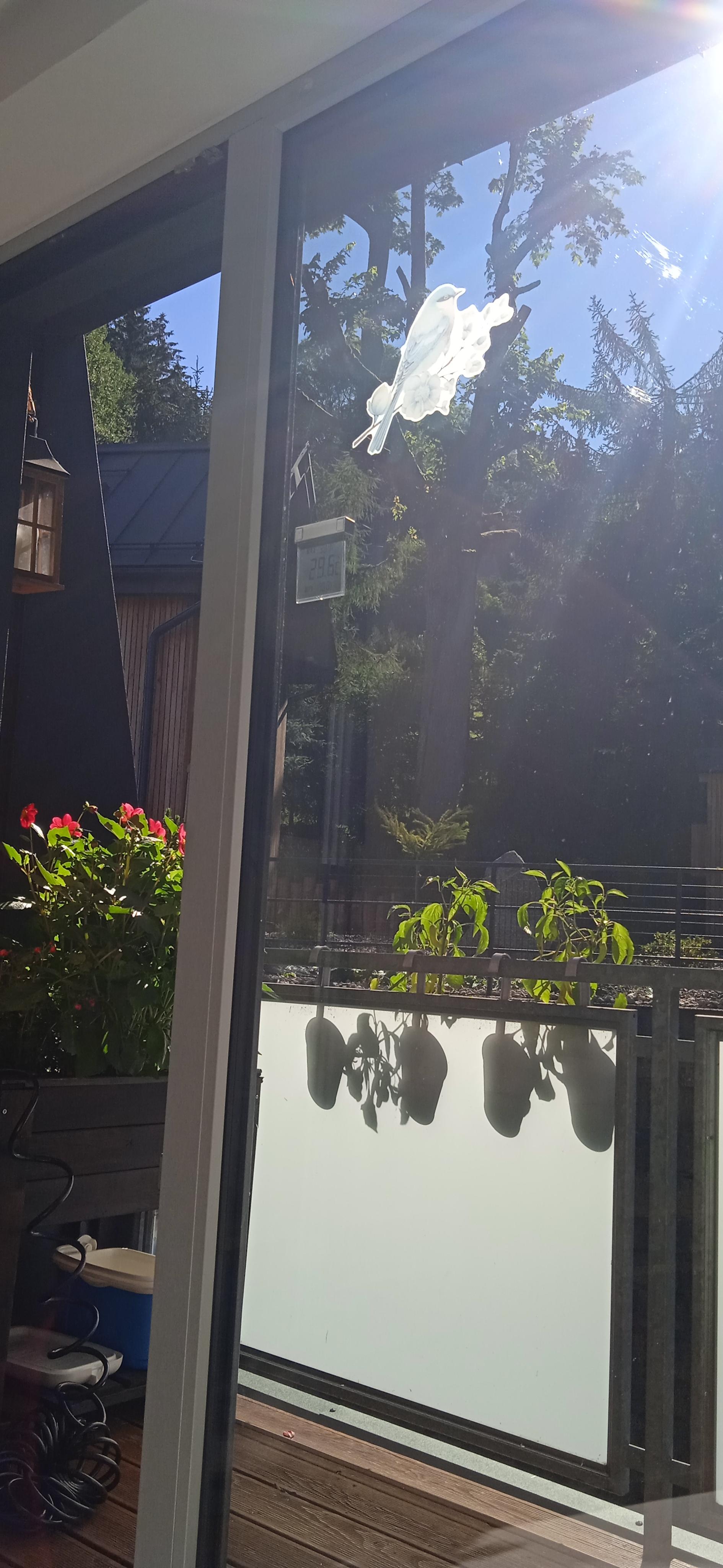 Apartmán víla Amálka foto 6