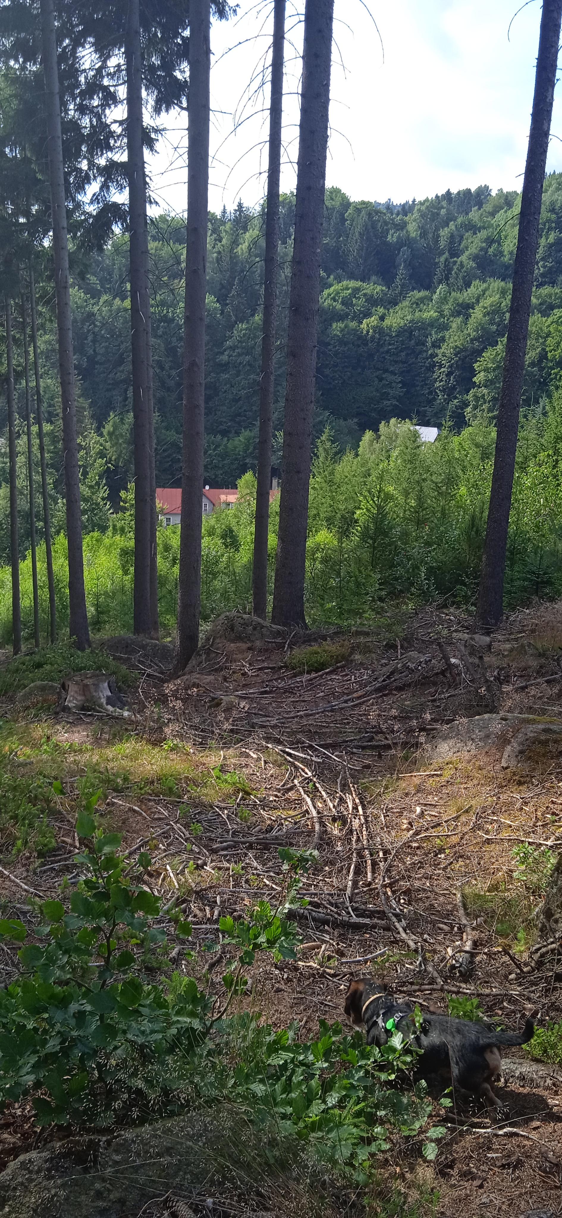 Apartmán víla Amálka foto 5