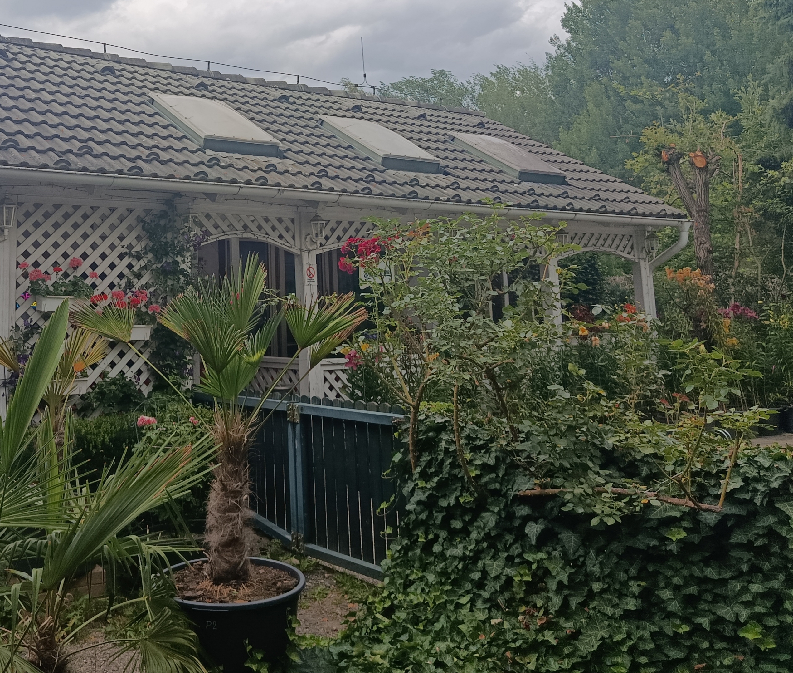 Restaurace U Hada foto 2