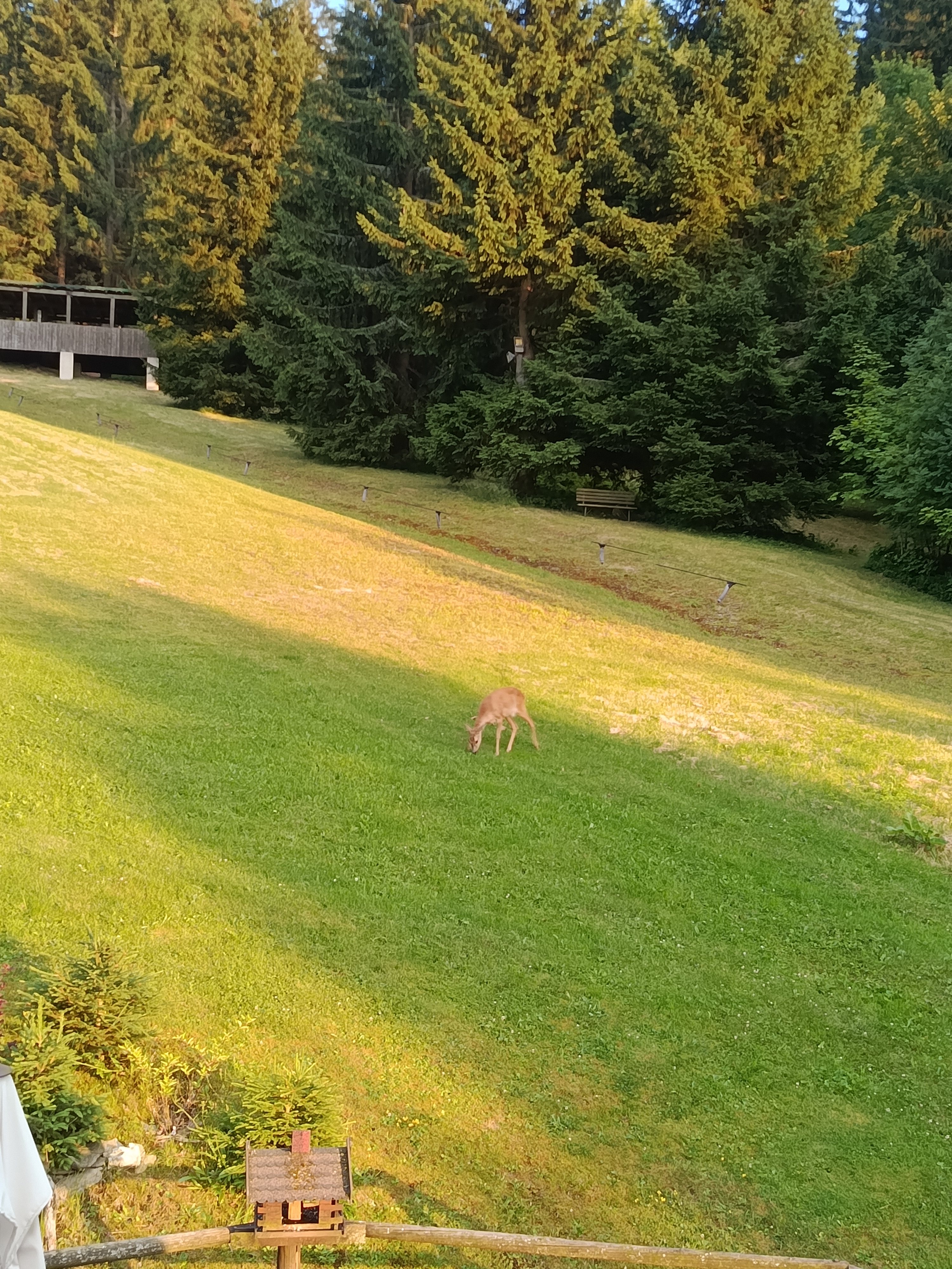 Penzion na Začátku foto 6