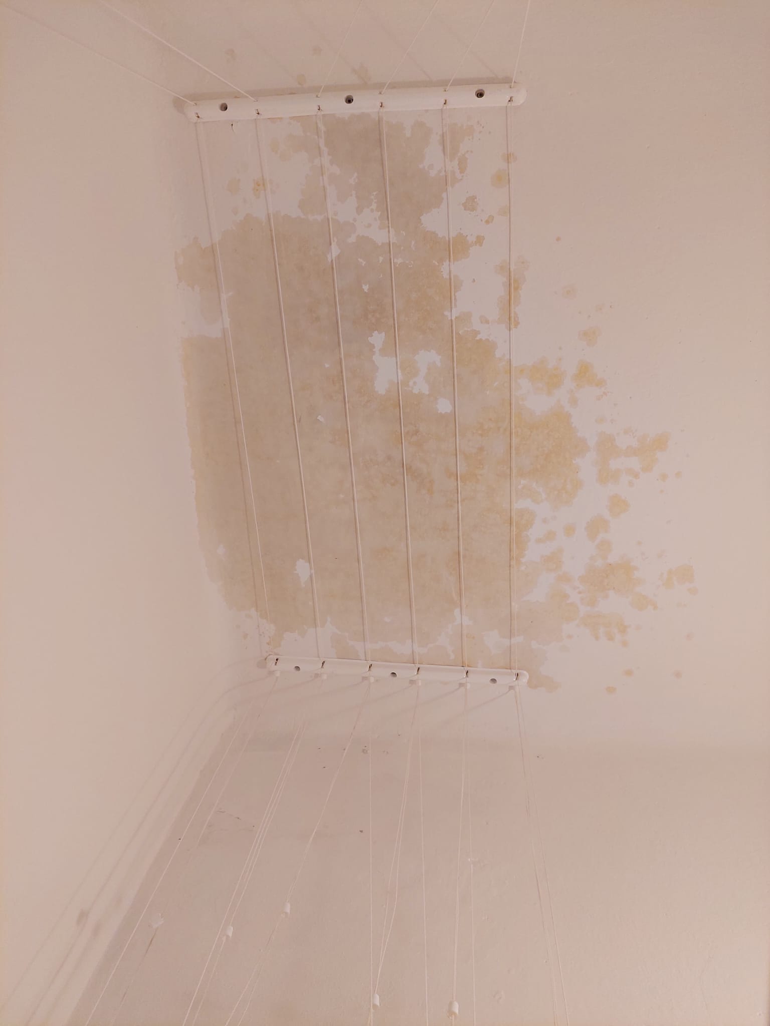 Teš – malířské práce foto 1