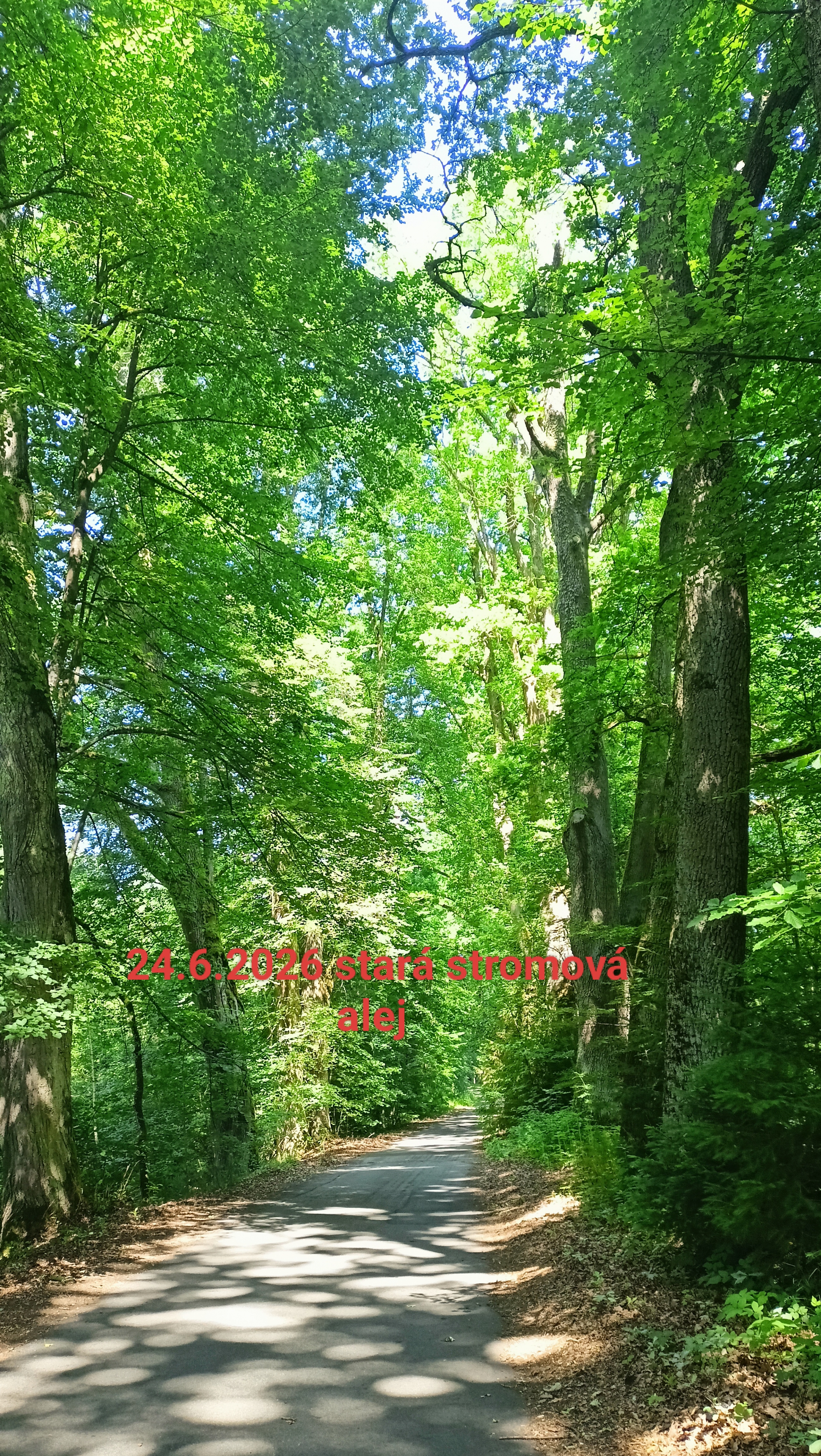Ubytování U Melicherů foto 2