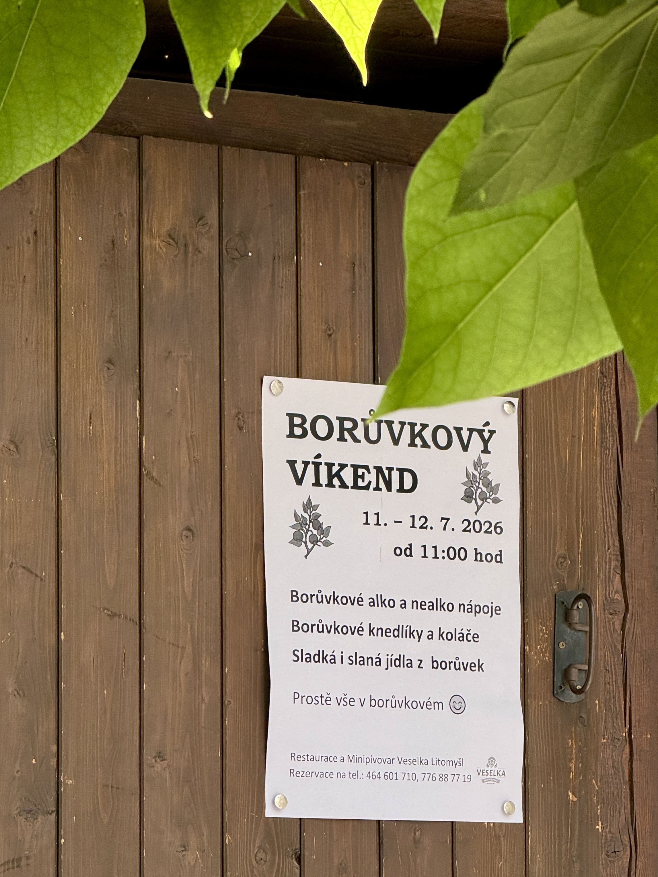 Restaurace a pivovar Veselka foto 4