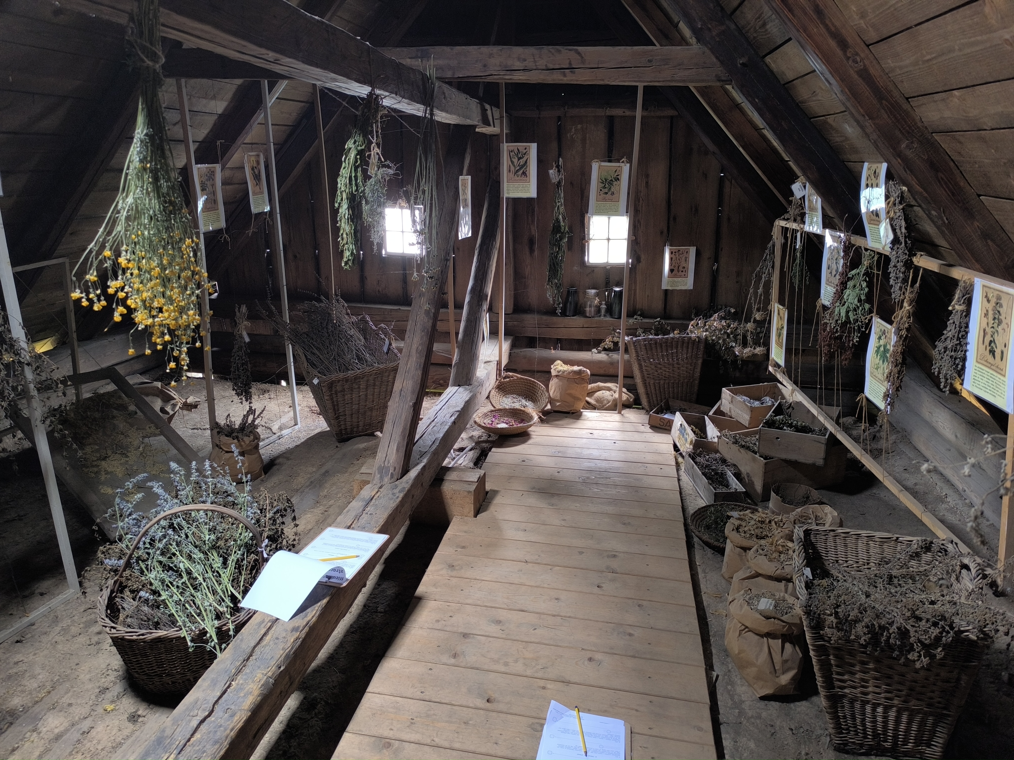Expozice Léčitelé Pojizeří a Podkrkonoší foto 2