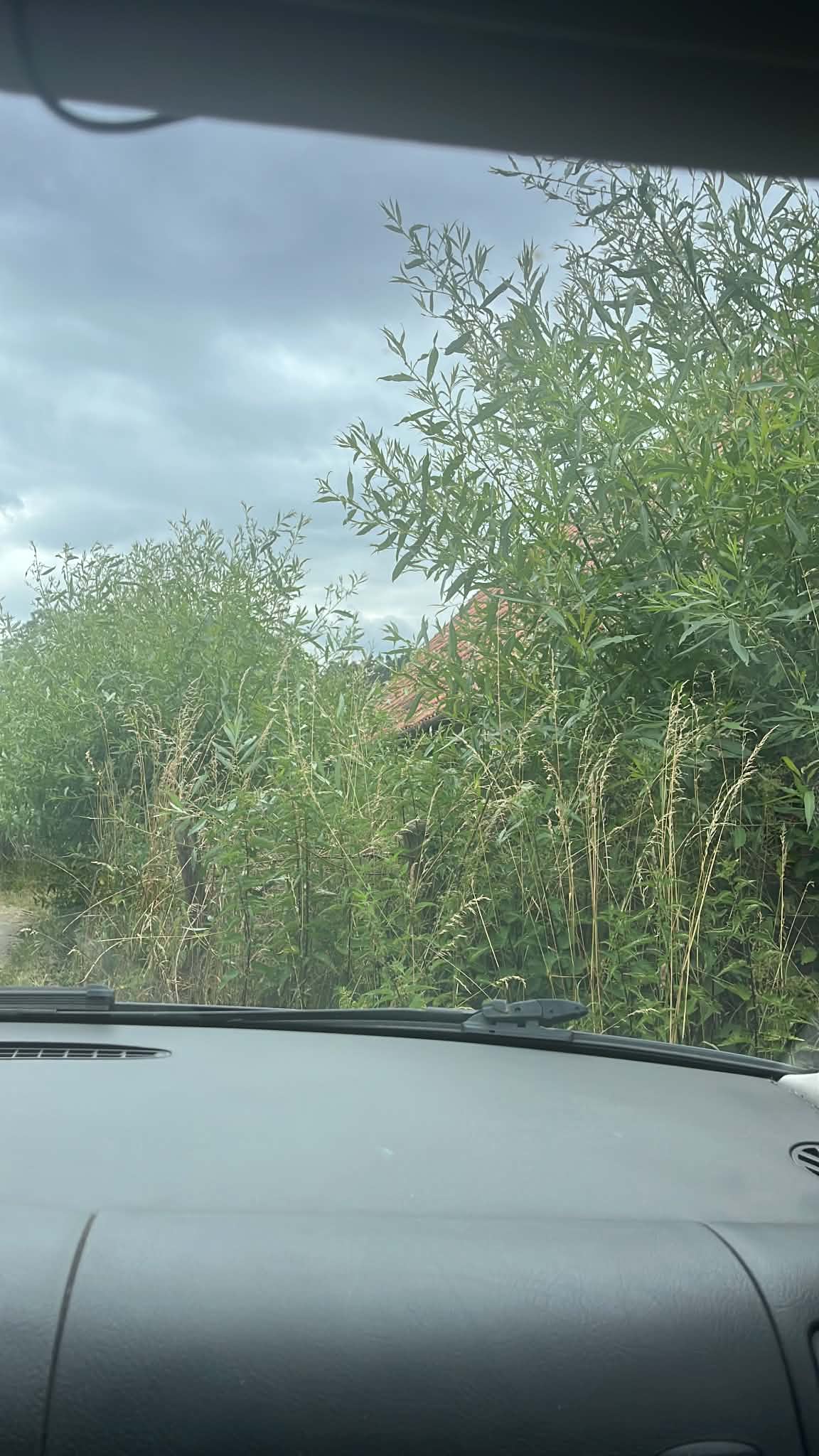 Kratochvílův Mlýn foto 6