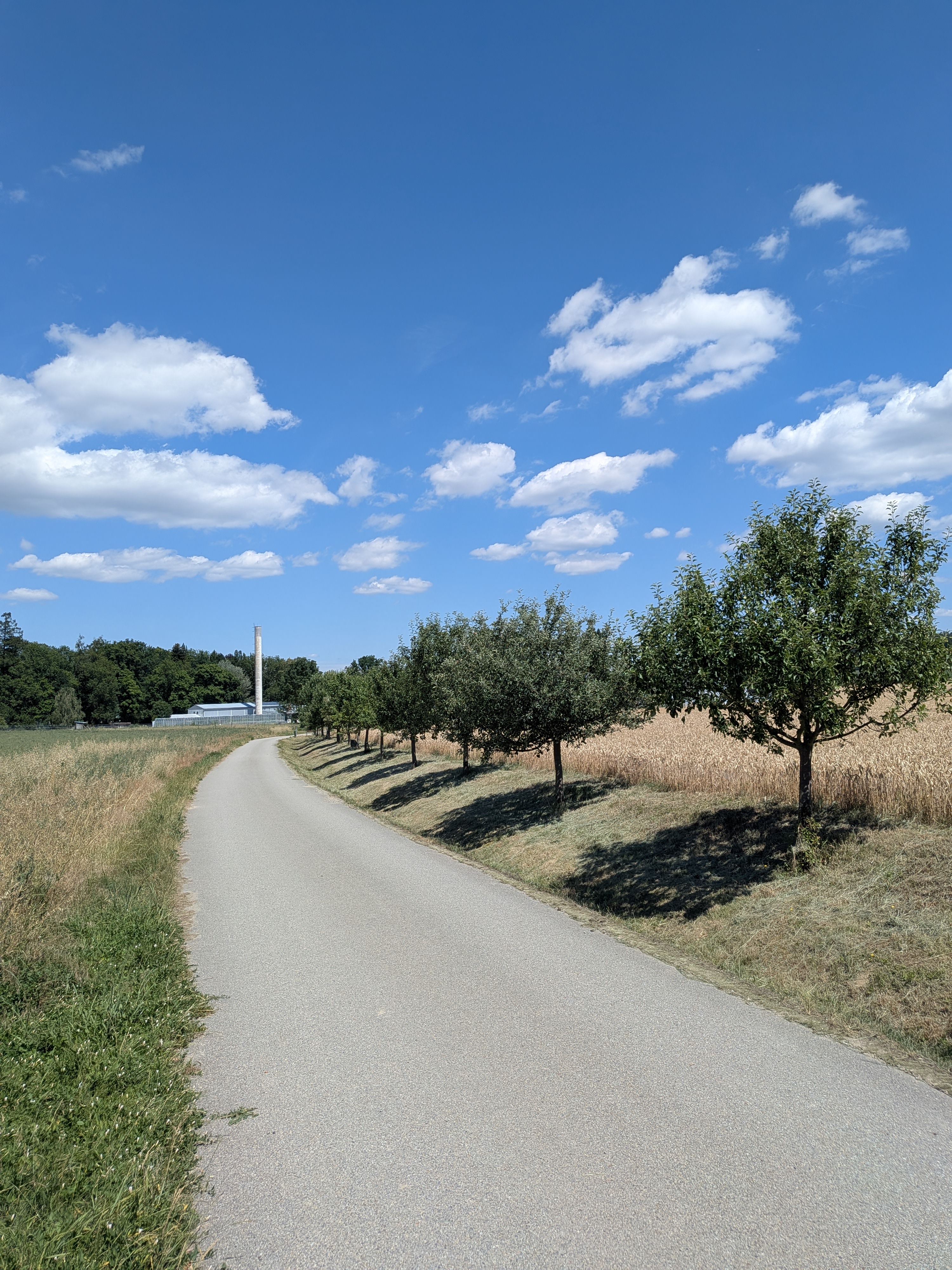 Osek - obecní úřad foto 1