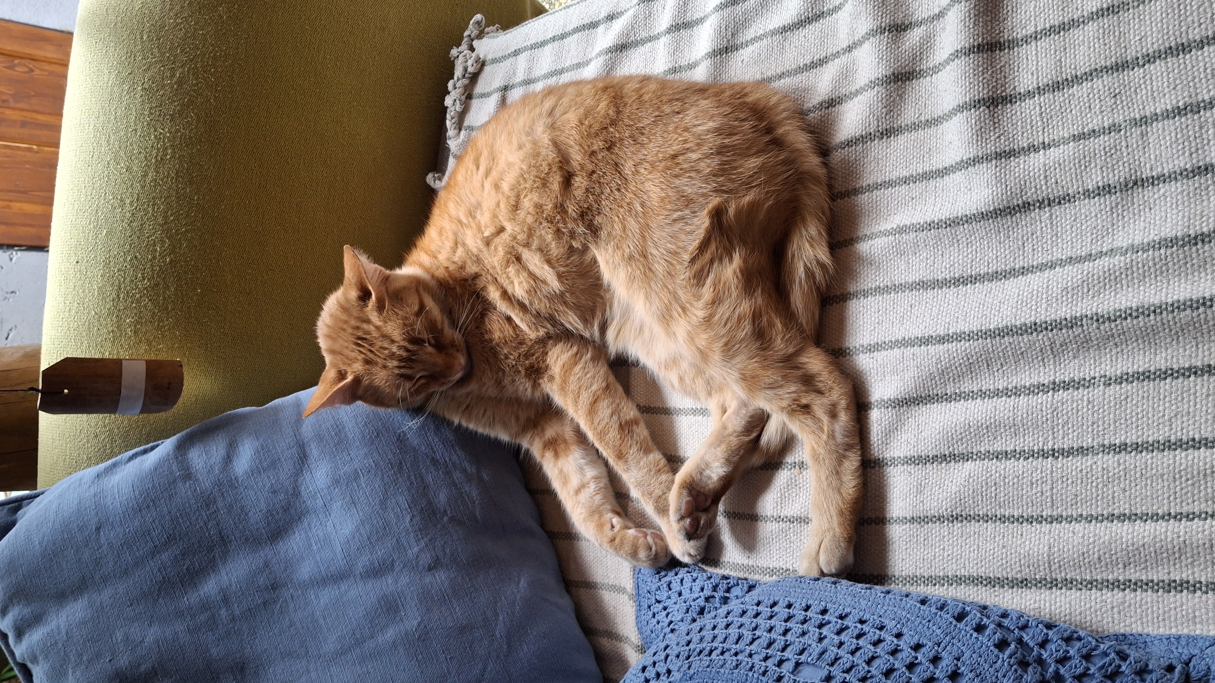 Literární čajovna Hermanna Ungara foto 6