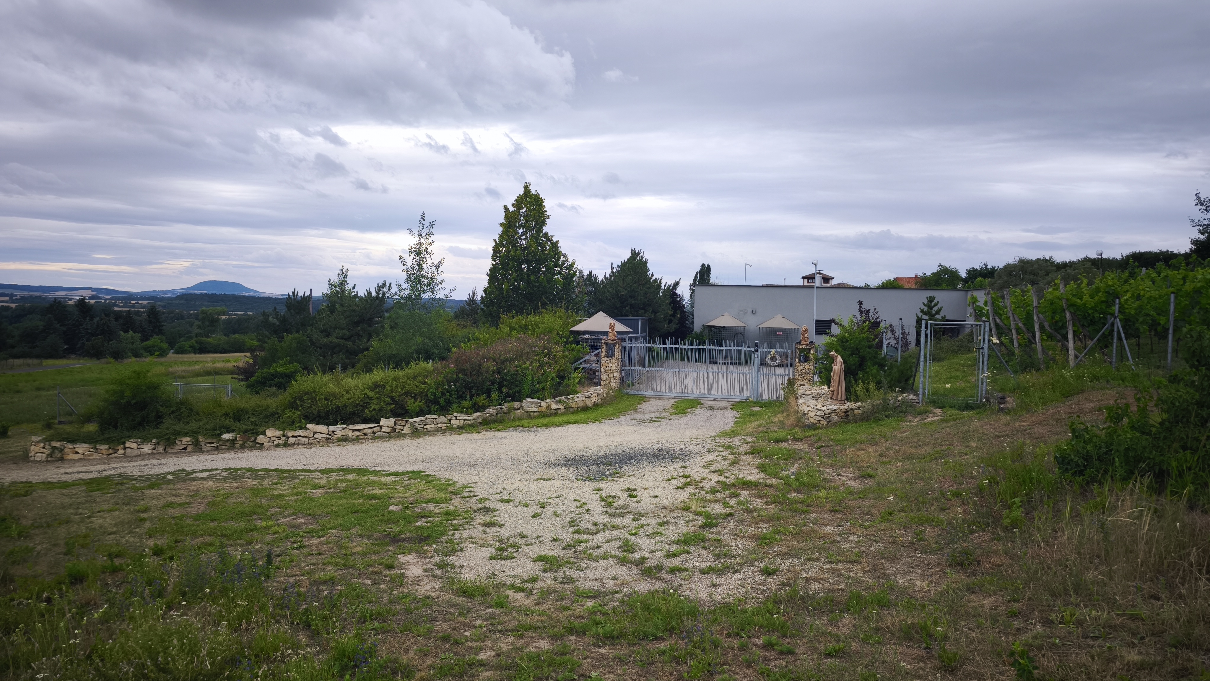 Ubytování U Vinice foto 1