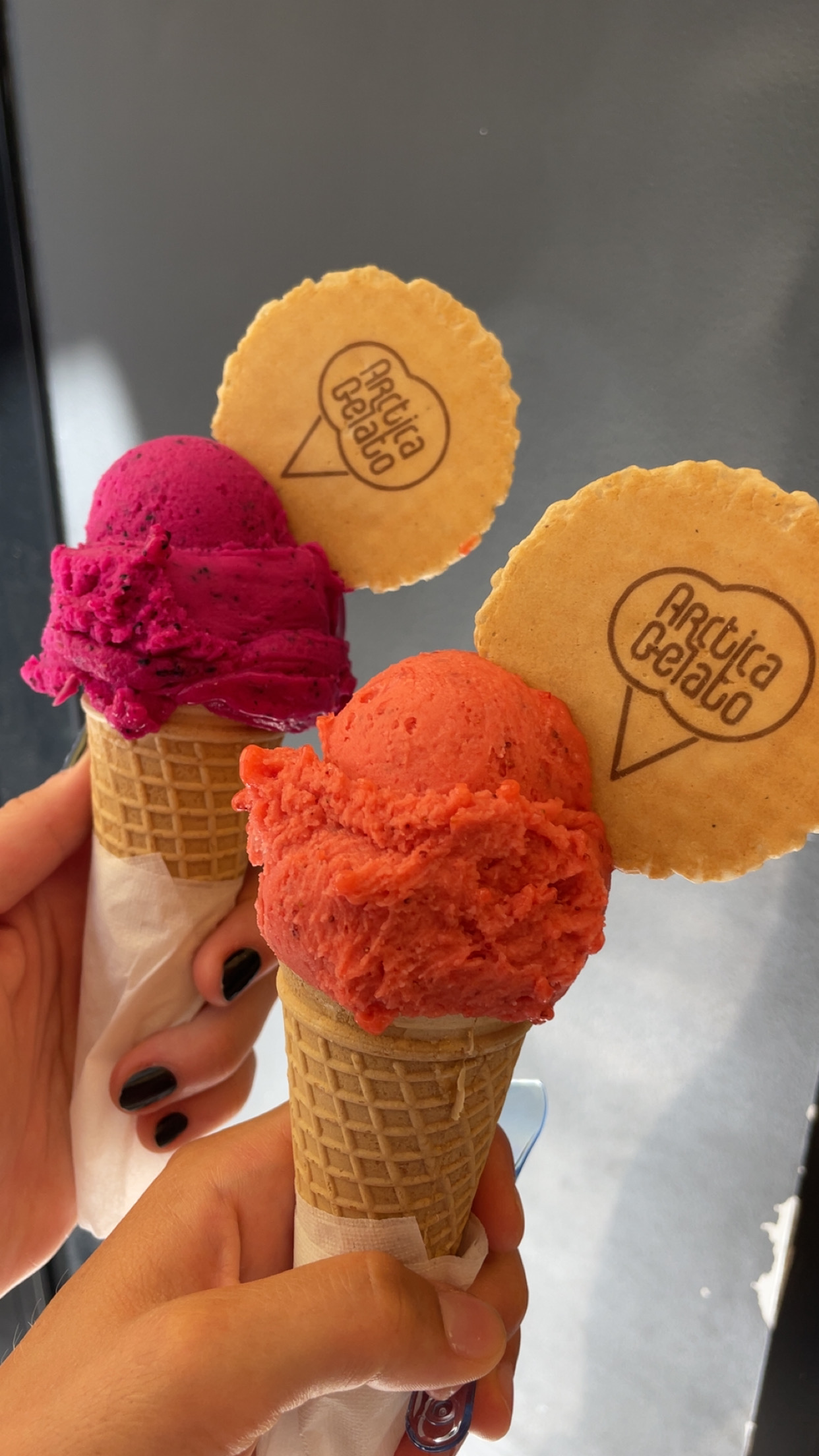 Arctica Gelato foto 1